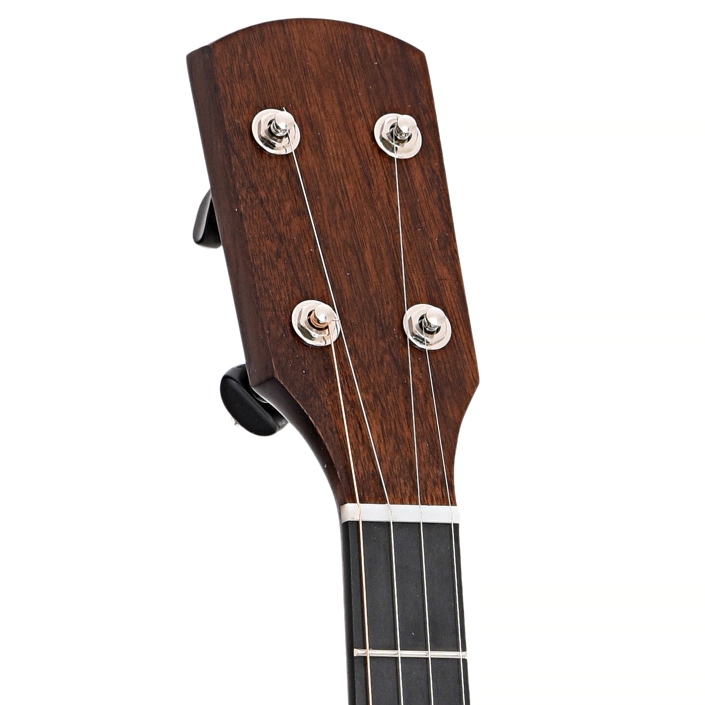 Front headstock of Pisgah Banjo Co. 12" Woodchuck Openback Banjo