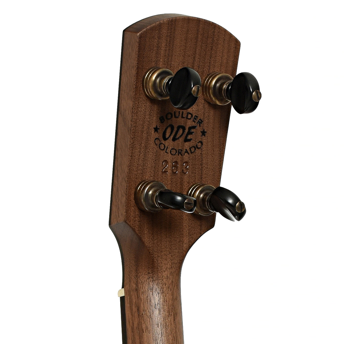 Tuners of Ode Magician 12" Walnut Openback Banjo