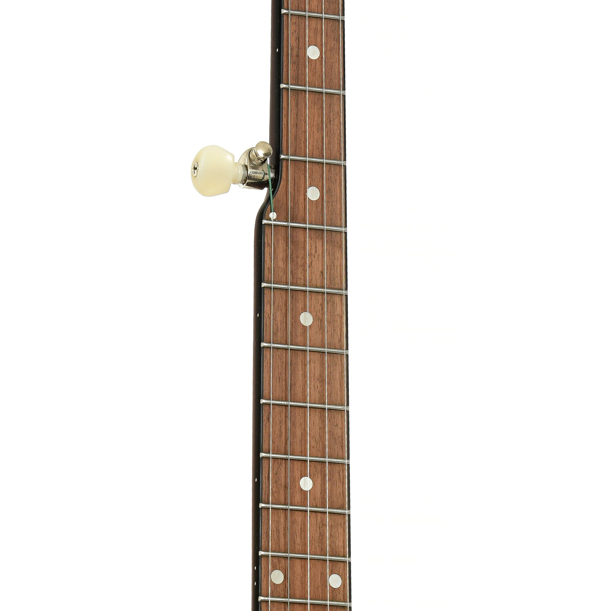 Fretboard of Recording King RKH-05 Dirty 30s Resonator Banjo