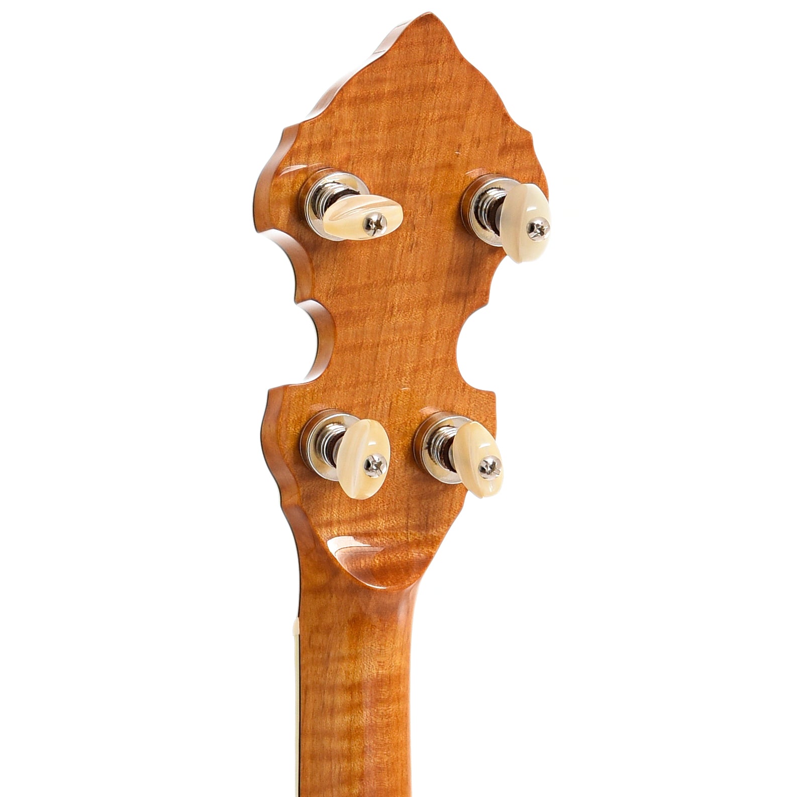 Back headstock of Ome Odyssey Custom Resonator Banjo