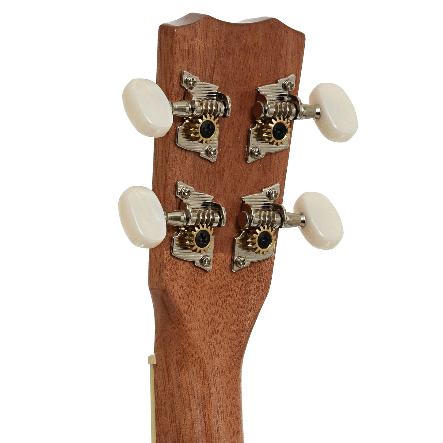 Tuners of Cordoba 15C Concert Ukulele, Catalonia Green