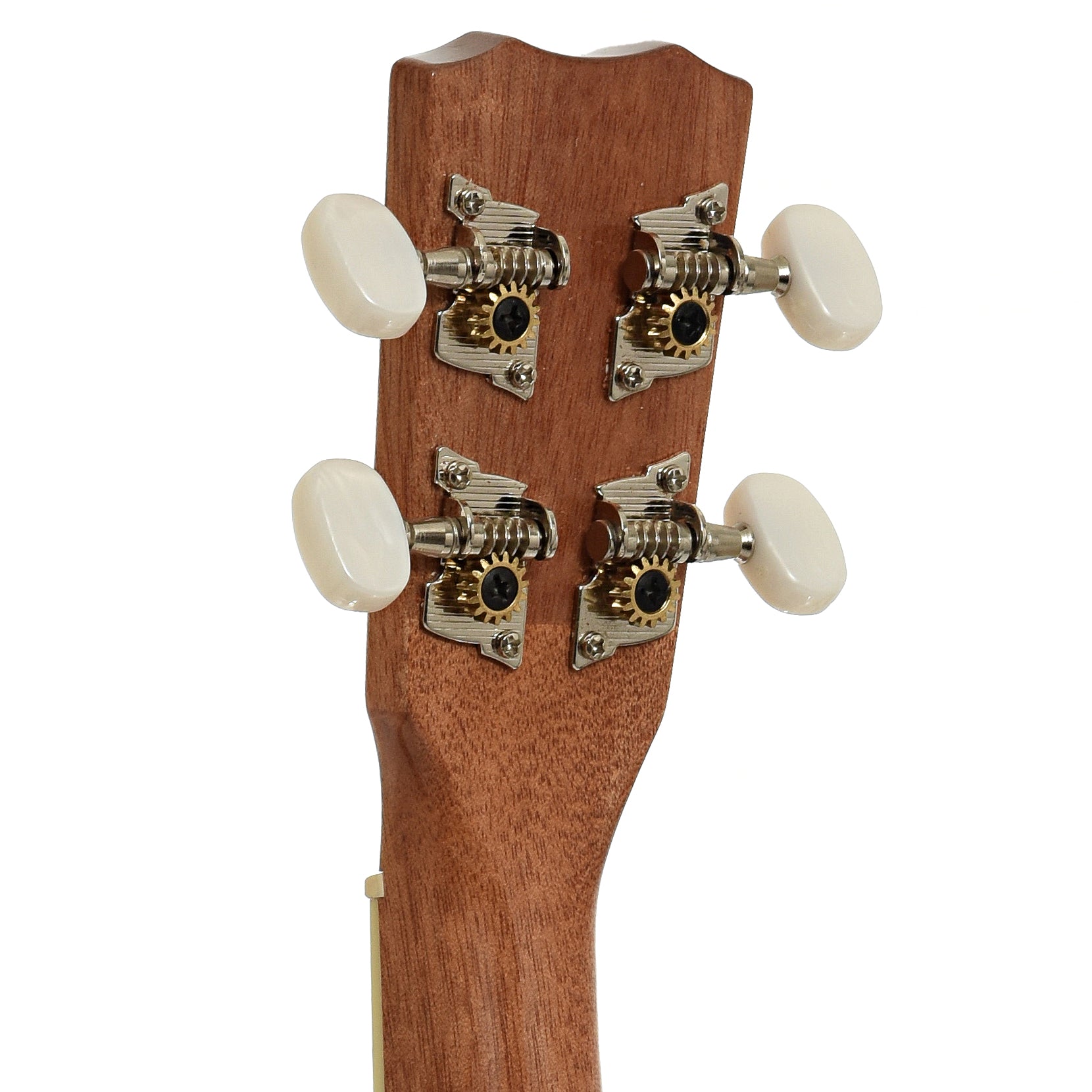 Tuners of Cordoba 15C Concert Ukulele, Catalonia Green
