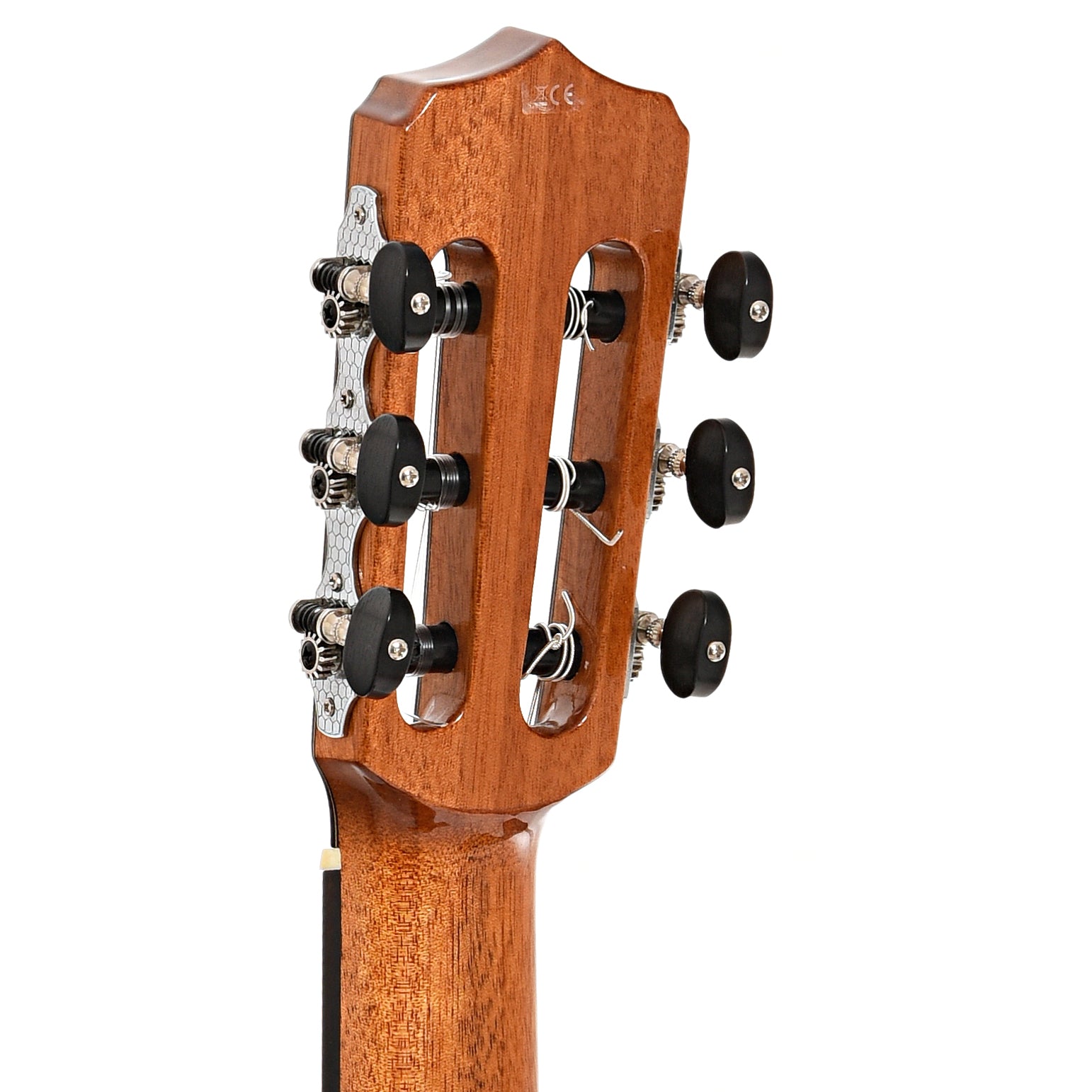 Back headstock of Cordoba Fusion 14 Maple Nylon String Acoustic-Electric Guitar (2021)