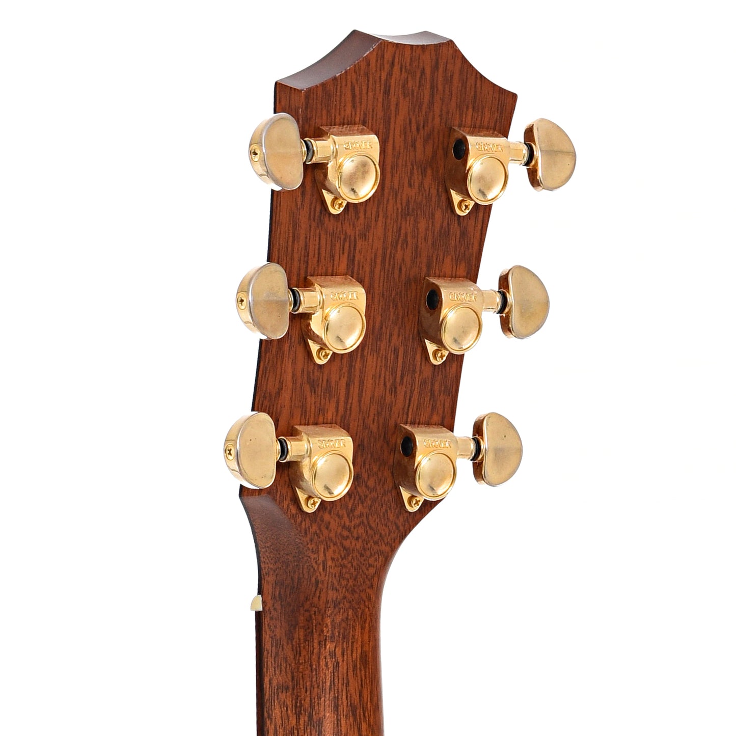 Back headstock of Taylor 514-CE Acoustic Guitar (2001)