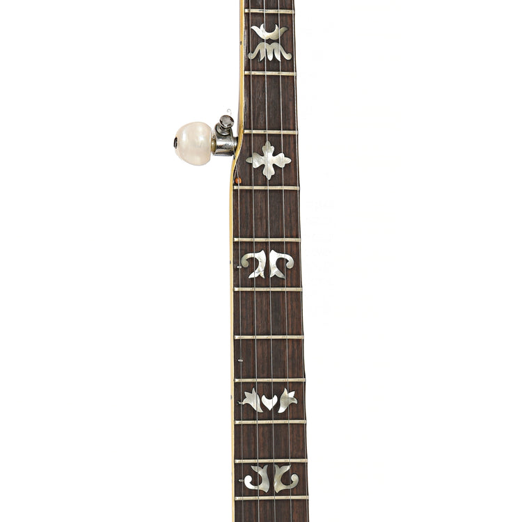 Fretboard of Gibson TB-3 Conversion Banjo