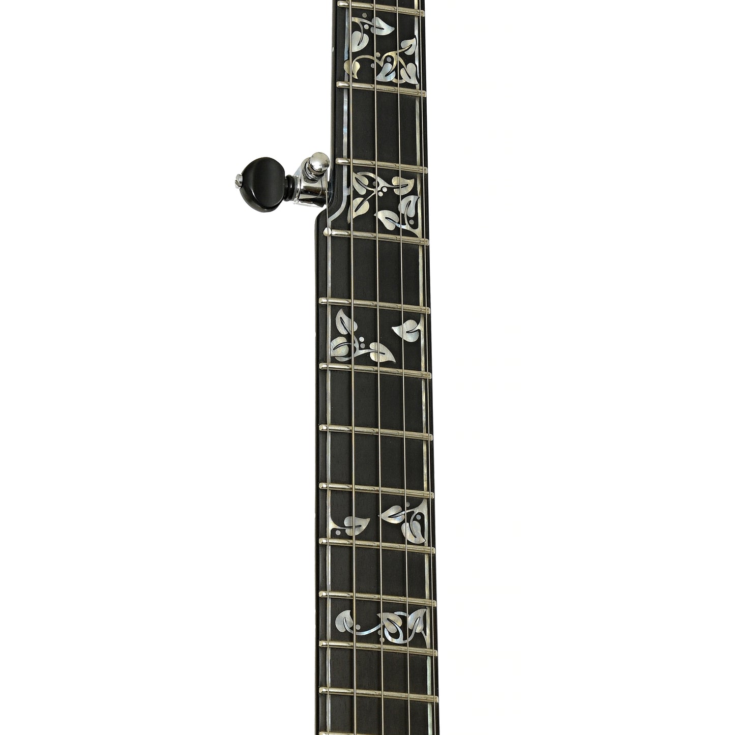 Fretboard of Gold Tone Mastertone New 2025 Specs ML-1 "Missing Link" Baritone Banjo