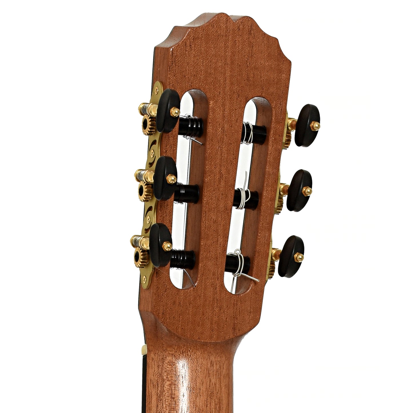 Tuners of Francois Laramee Classical Acoustic Guitar