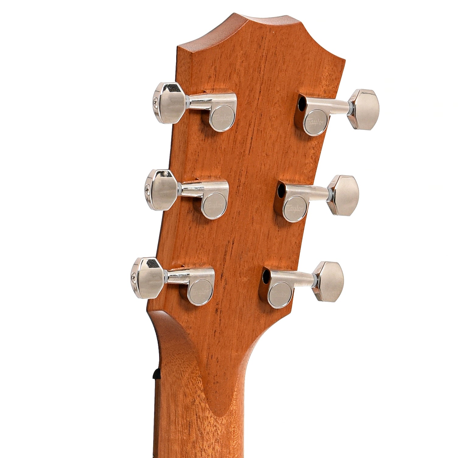 Back headstock of Taylor GTE Urban Ash Acoustic 