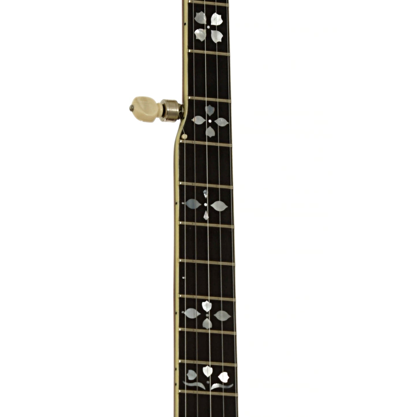 Fretboard of DP Hopkins Janice Martin Resonator Banjo