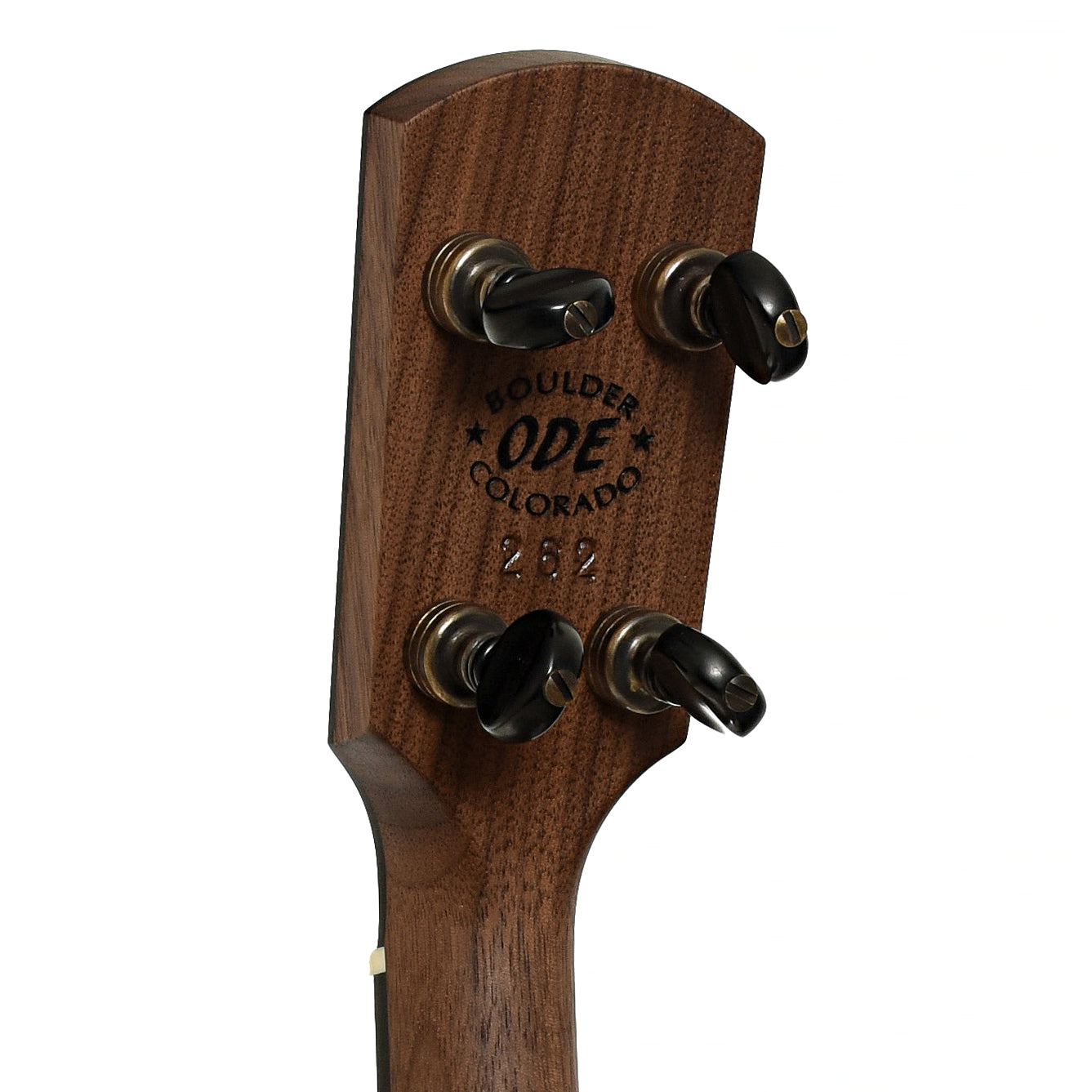 Tuners of Ode Magician 11" Walnut Openback B