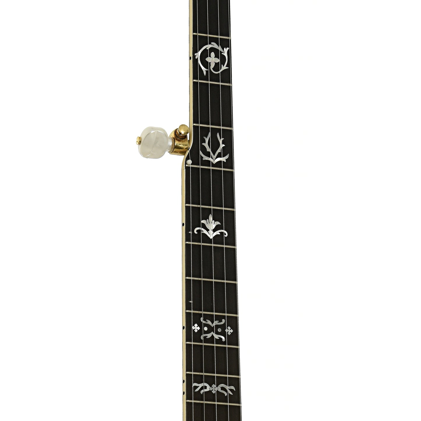 Fretboard of Frank Neat Stanleytone Hills of Home Resonator Banjo