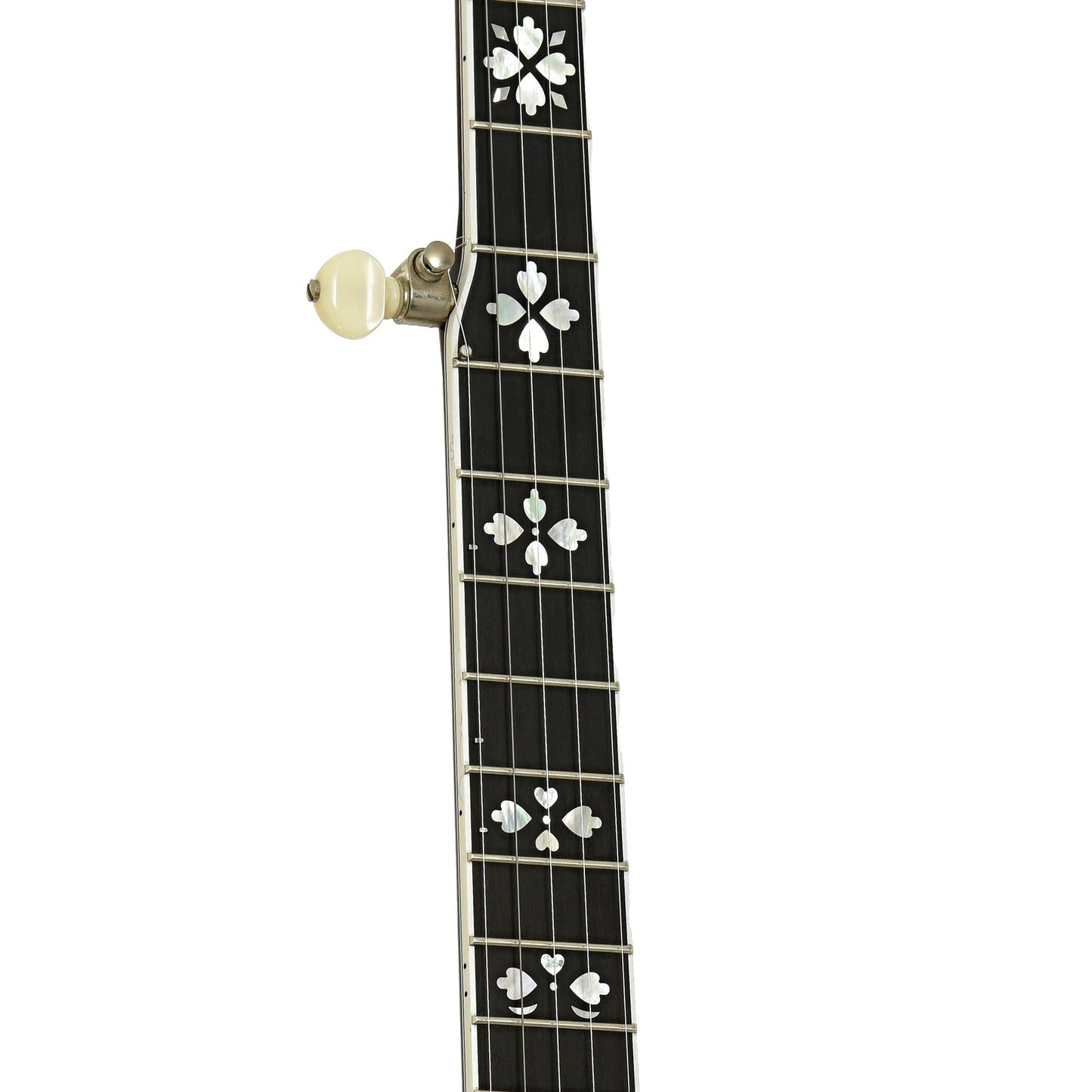 Fretboard of Deering Golden Era Resonator Banjo 