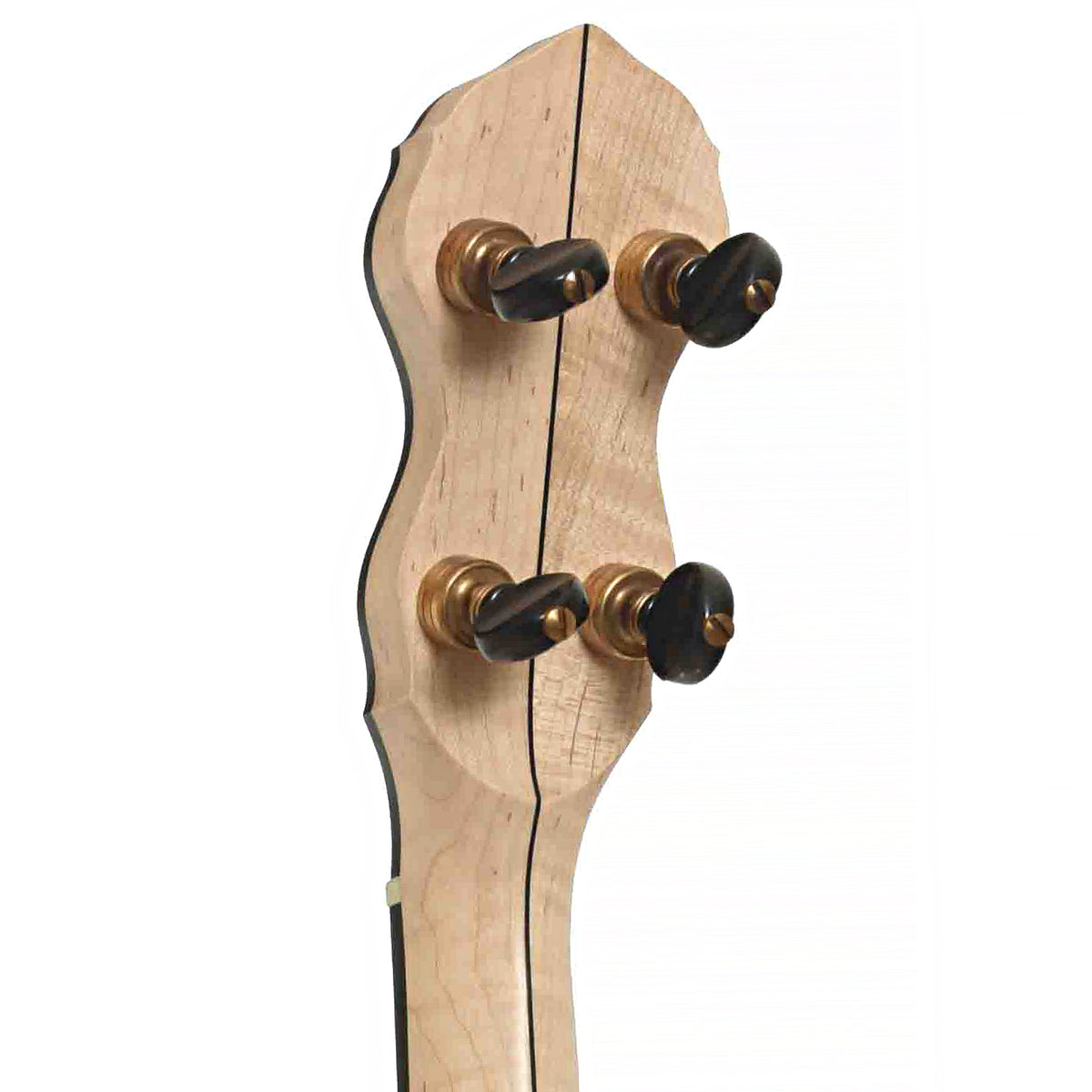 Pisgah Laydie 12in Short Scale Openback Banjo & Gigbag