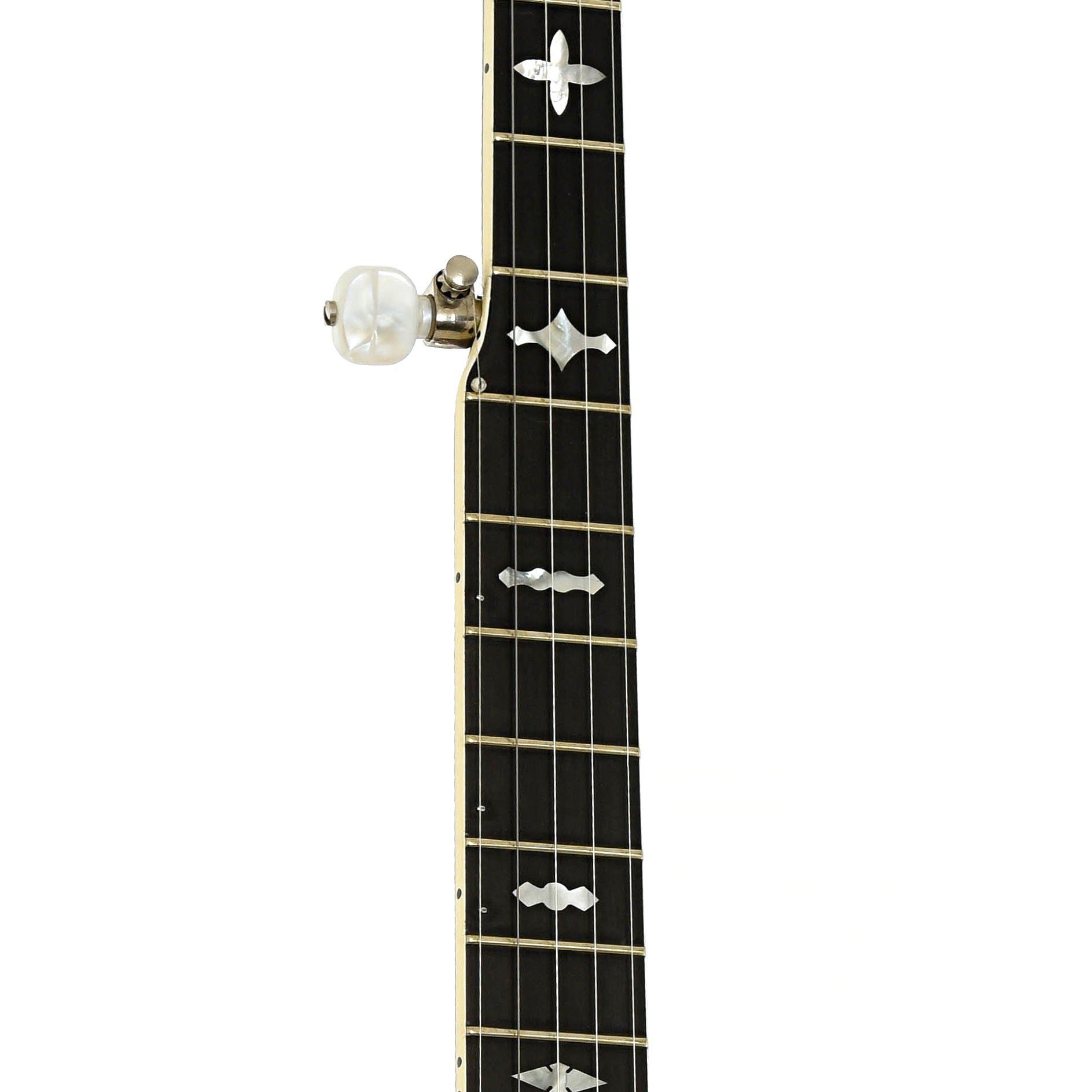 Fretboard of Gibson RB-250 Resonator Banjo