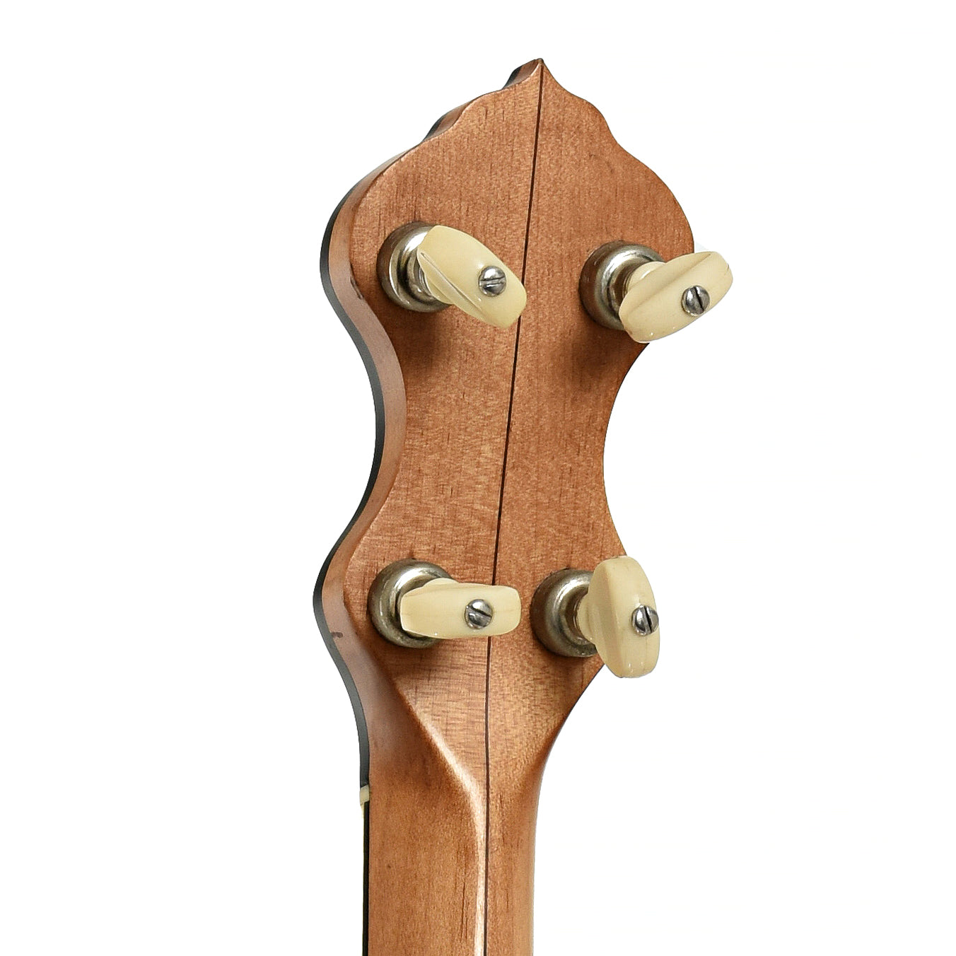 Tuners of Mike Ramsey Bacon Model Open Back Banjo