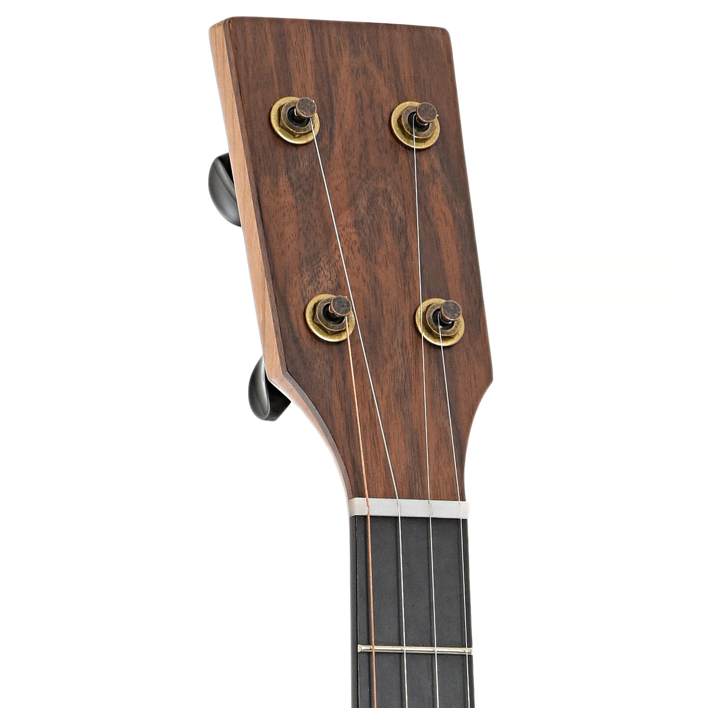 Front headstock of Pisgah Roscoe Banjo