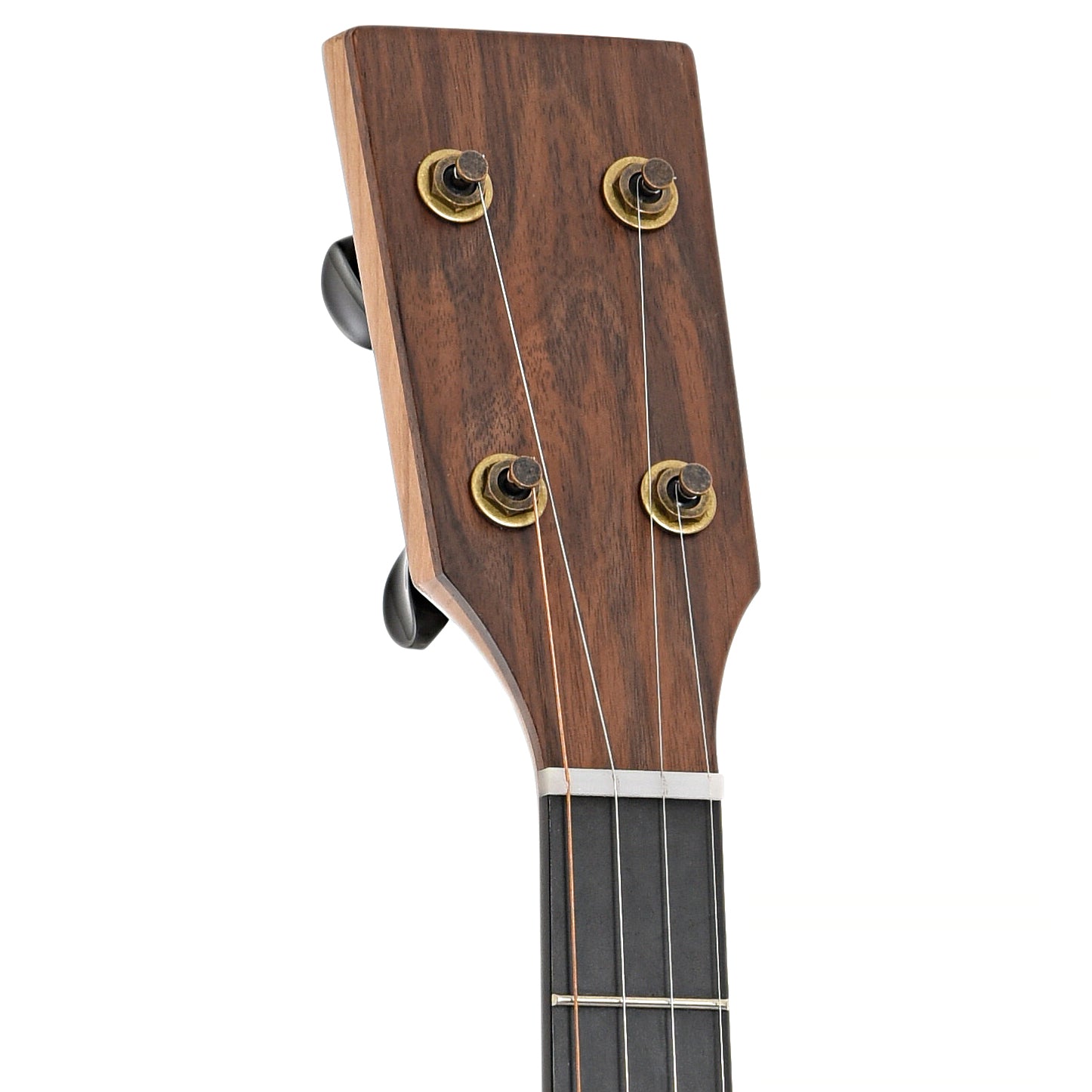 Front headstock of Pisgah Roscoe Banjo