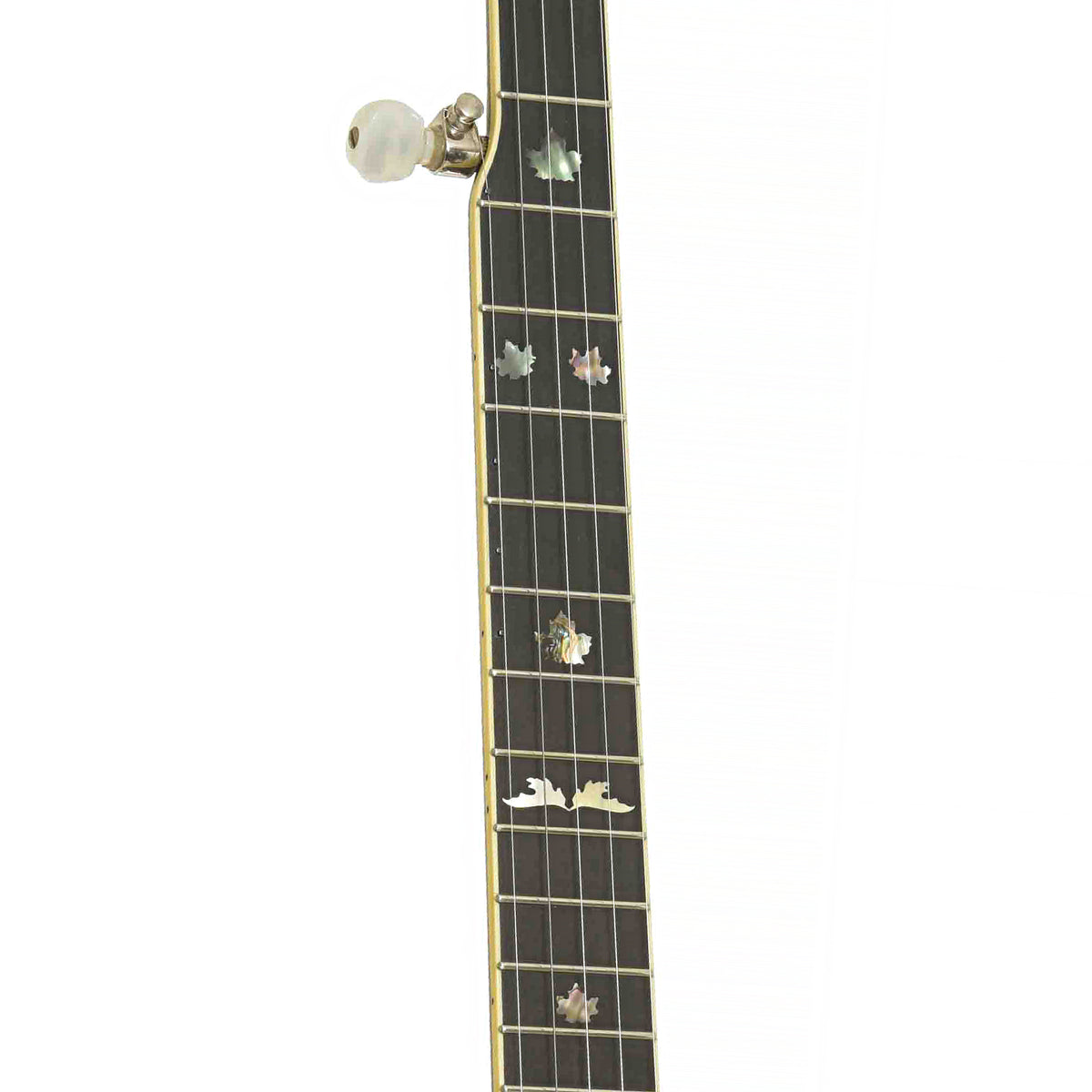 Fretboard of Stelling Winterhawk #7 Five-String Resonator Banjo