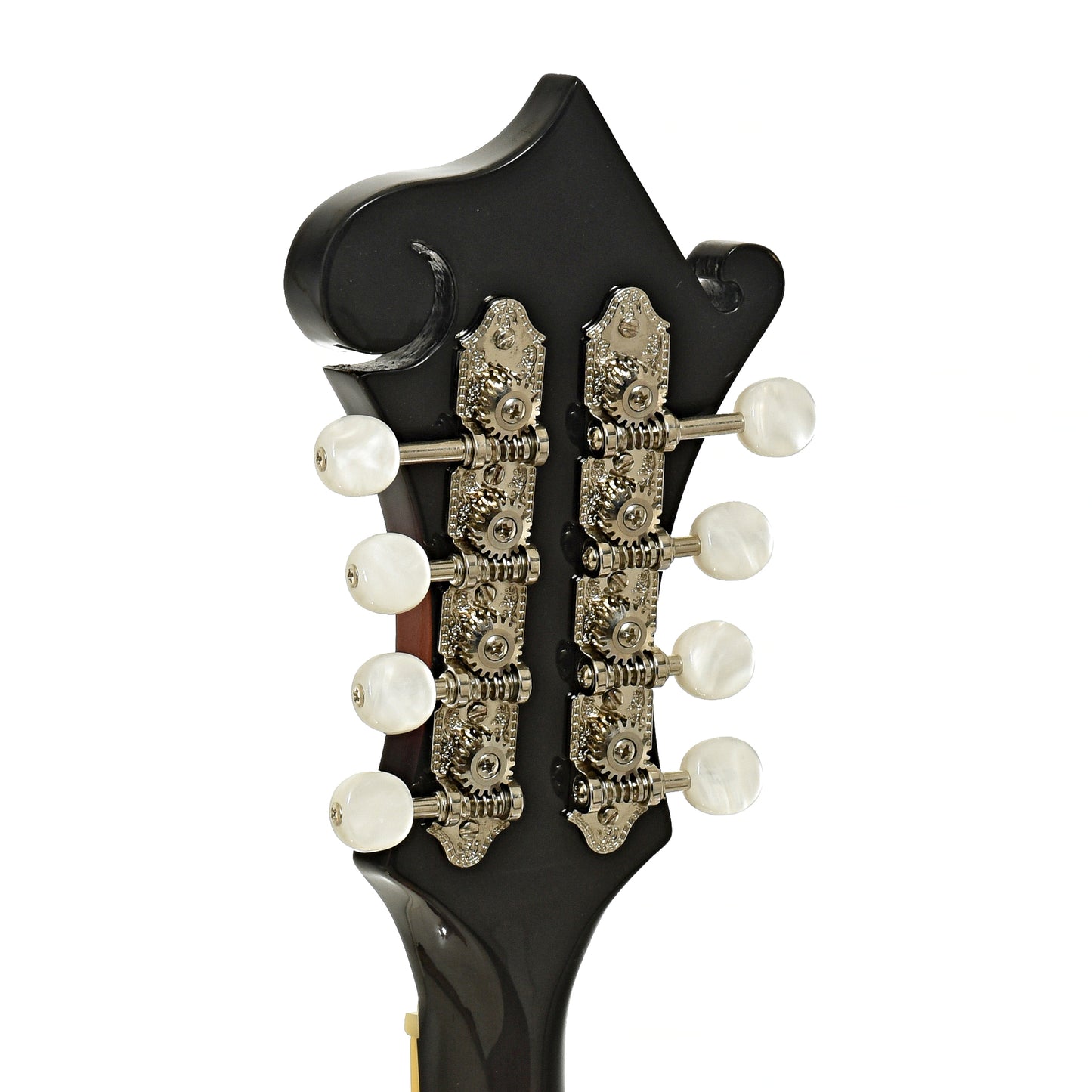 Tuners of The Loar LM-520 F-Style Mandolin