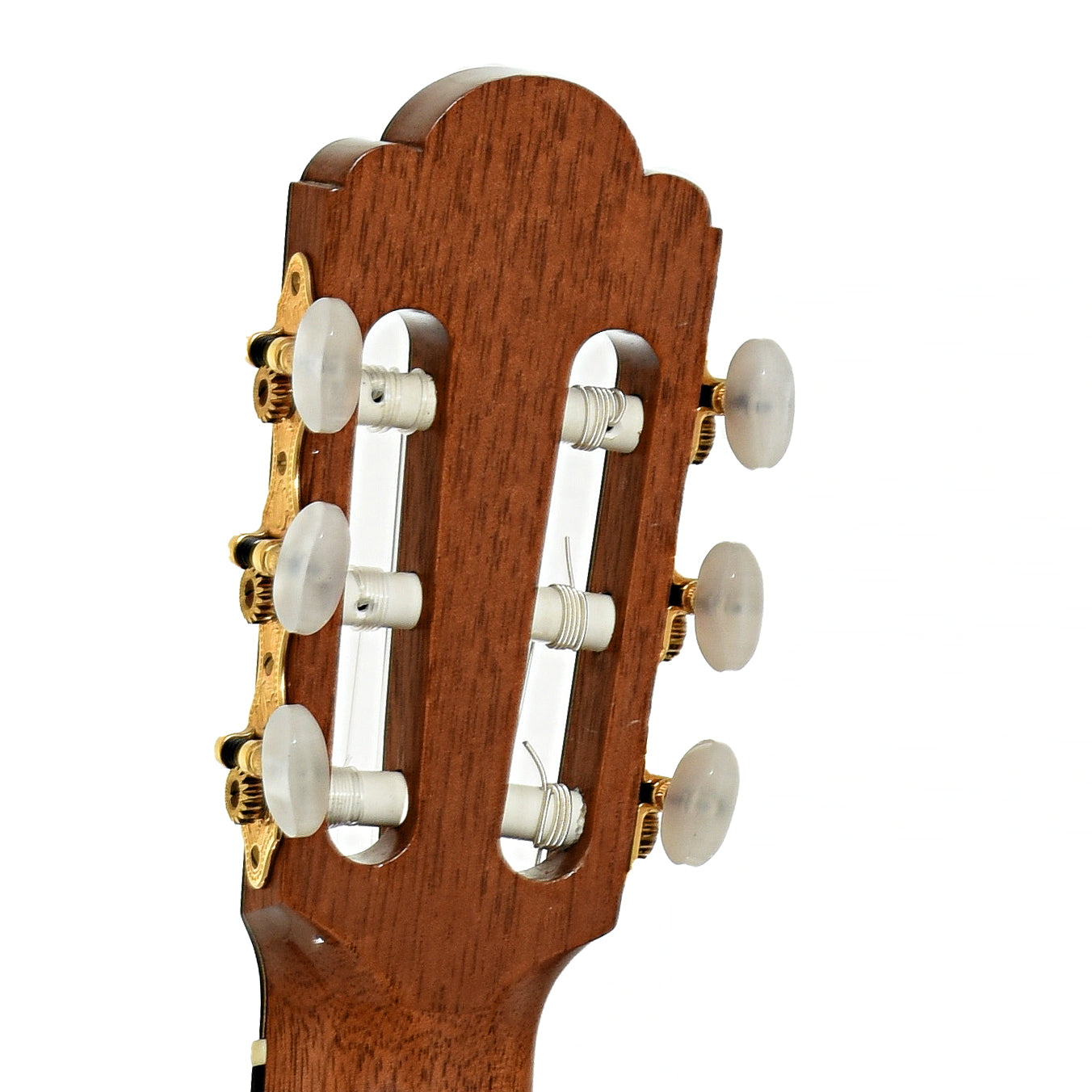 Headstock of G.V. Rubio Hauser Model Classical Guitar