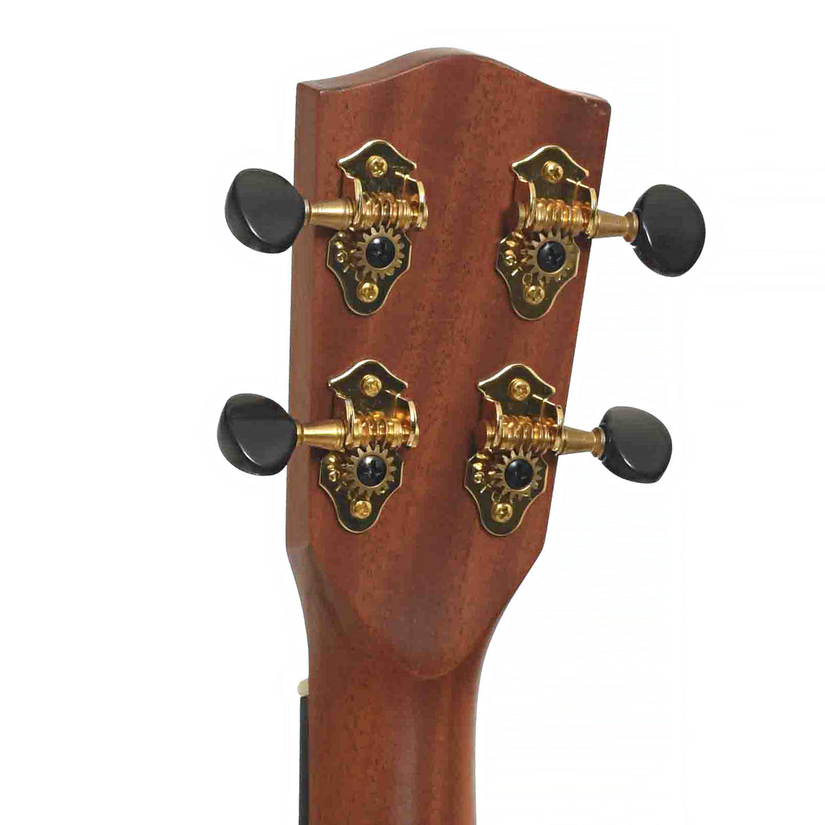 Tuners of Pono MGTD Mango Tenor