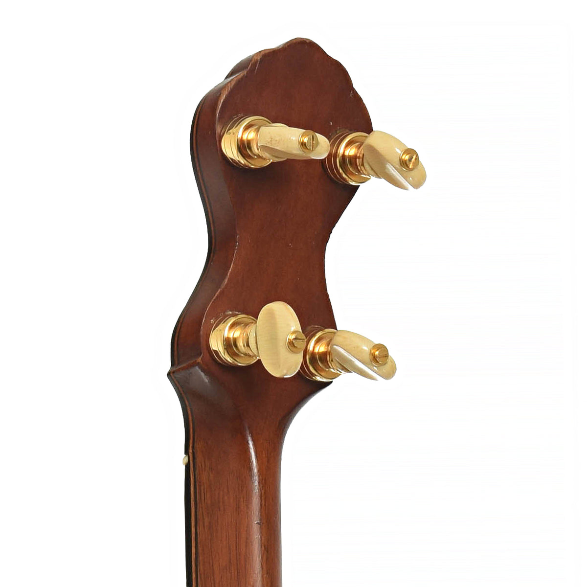 Tuners of A.C. Fairbanks Special Electric Openback Banjo
