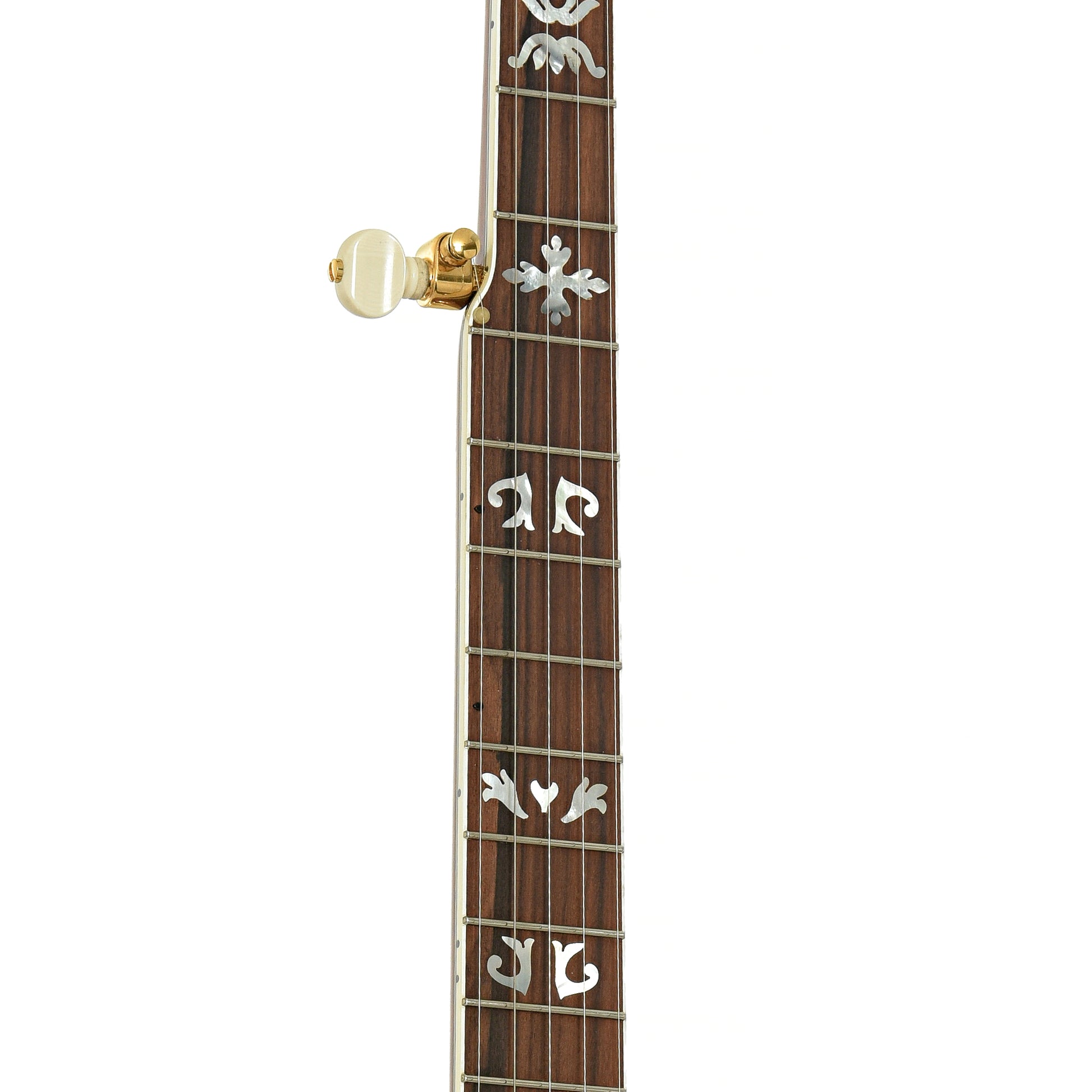 Fretboard of Sullivan Vintage 35 Gold Flying Eagle Resonator Banjo