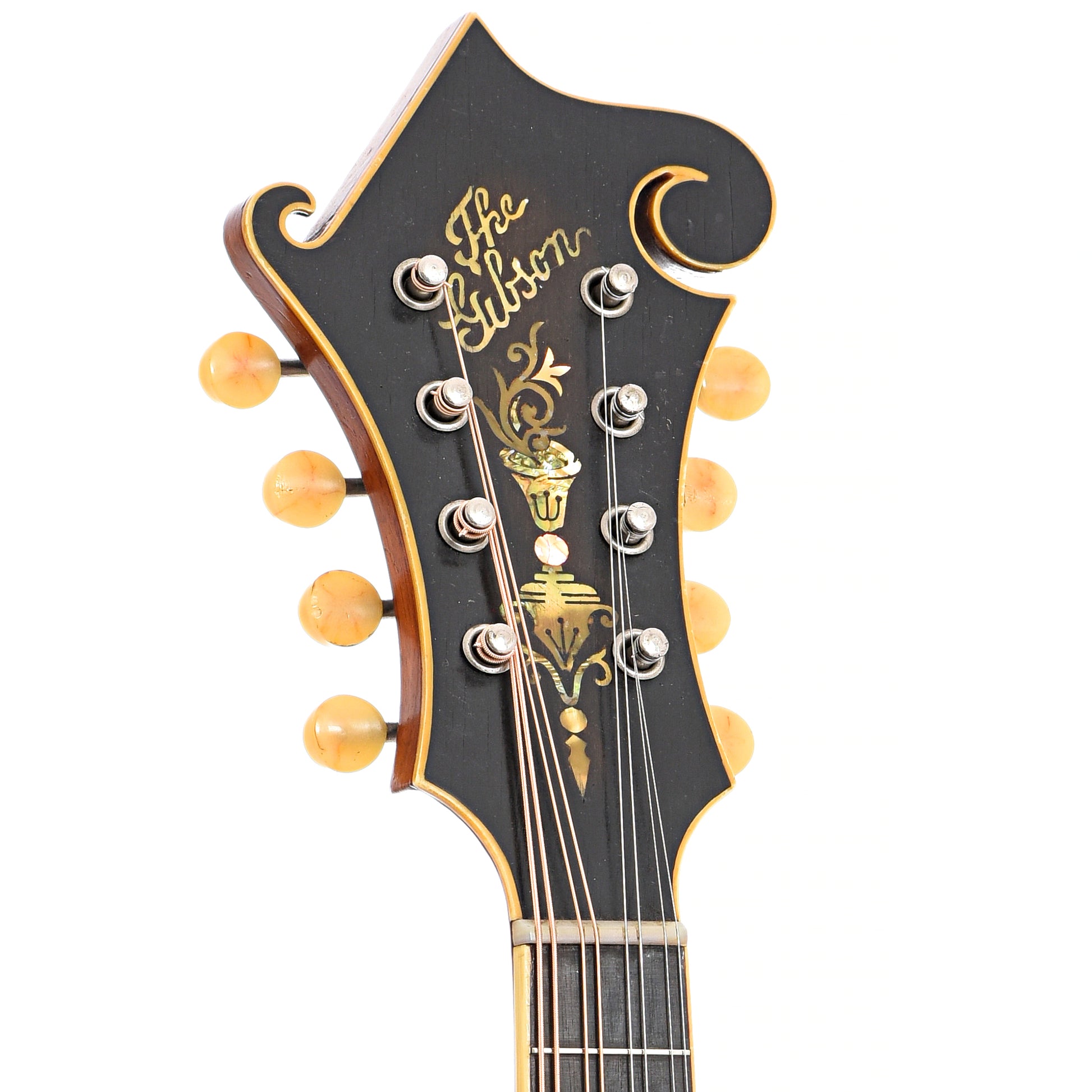 Front headstock of Gibson F-4 Mandolin