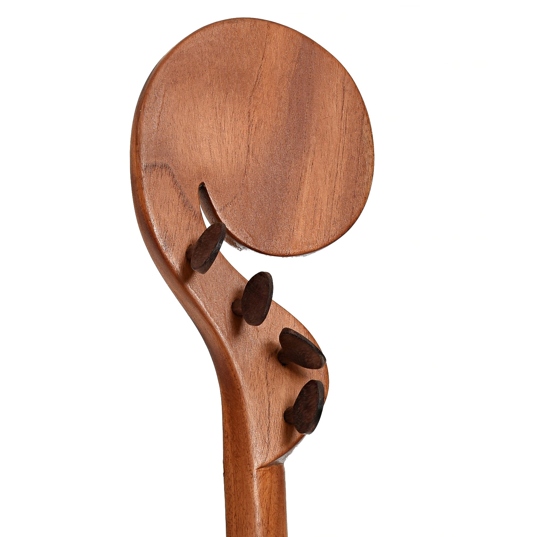 Tuners of Menzies Fretless Tackhead Banjo #596