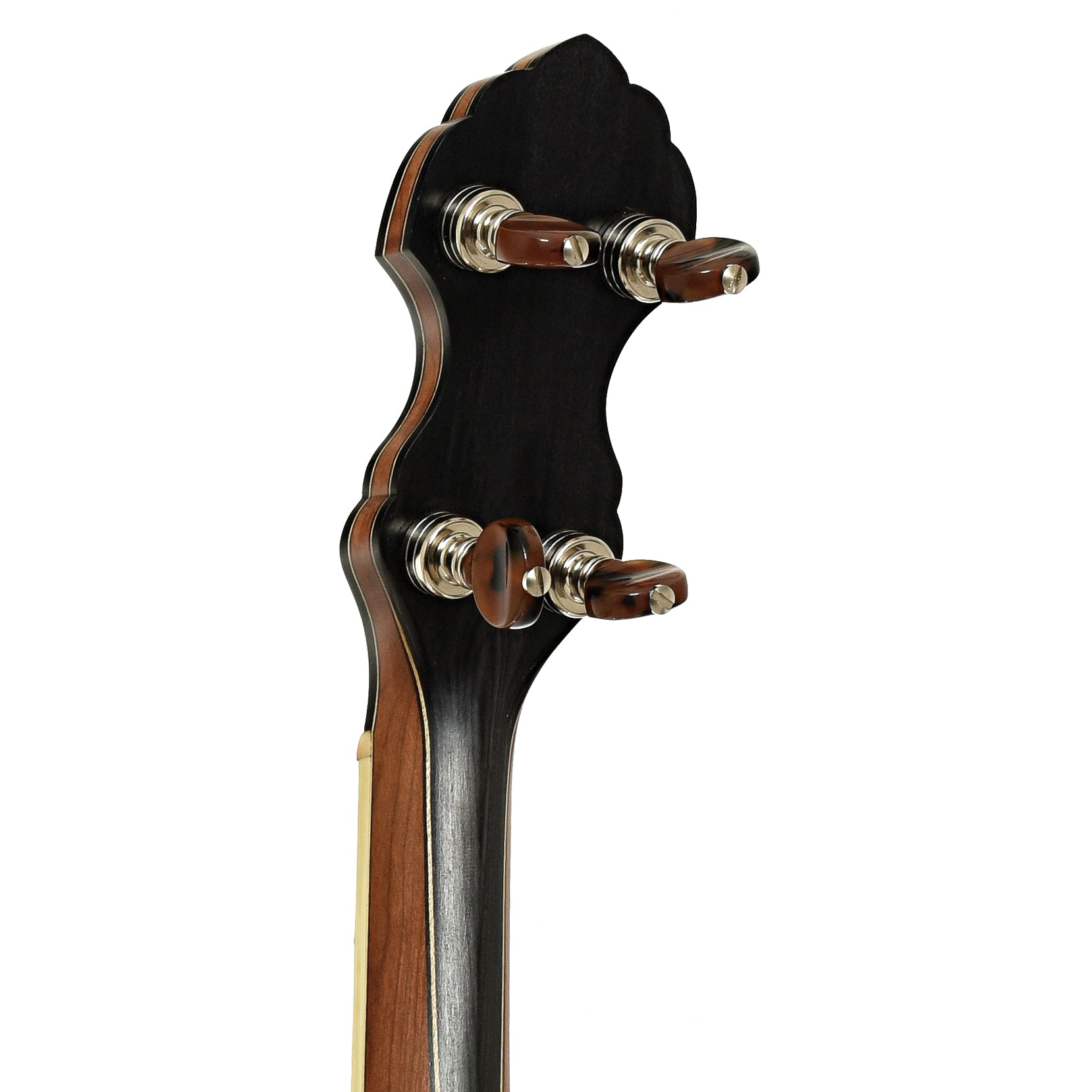 Tuners of R.M. Anderson Vega Tubaphone Conversion Banjo