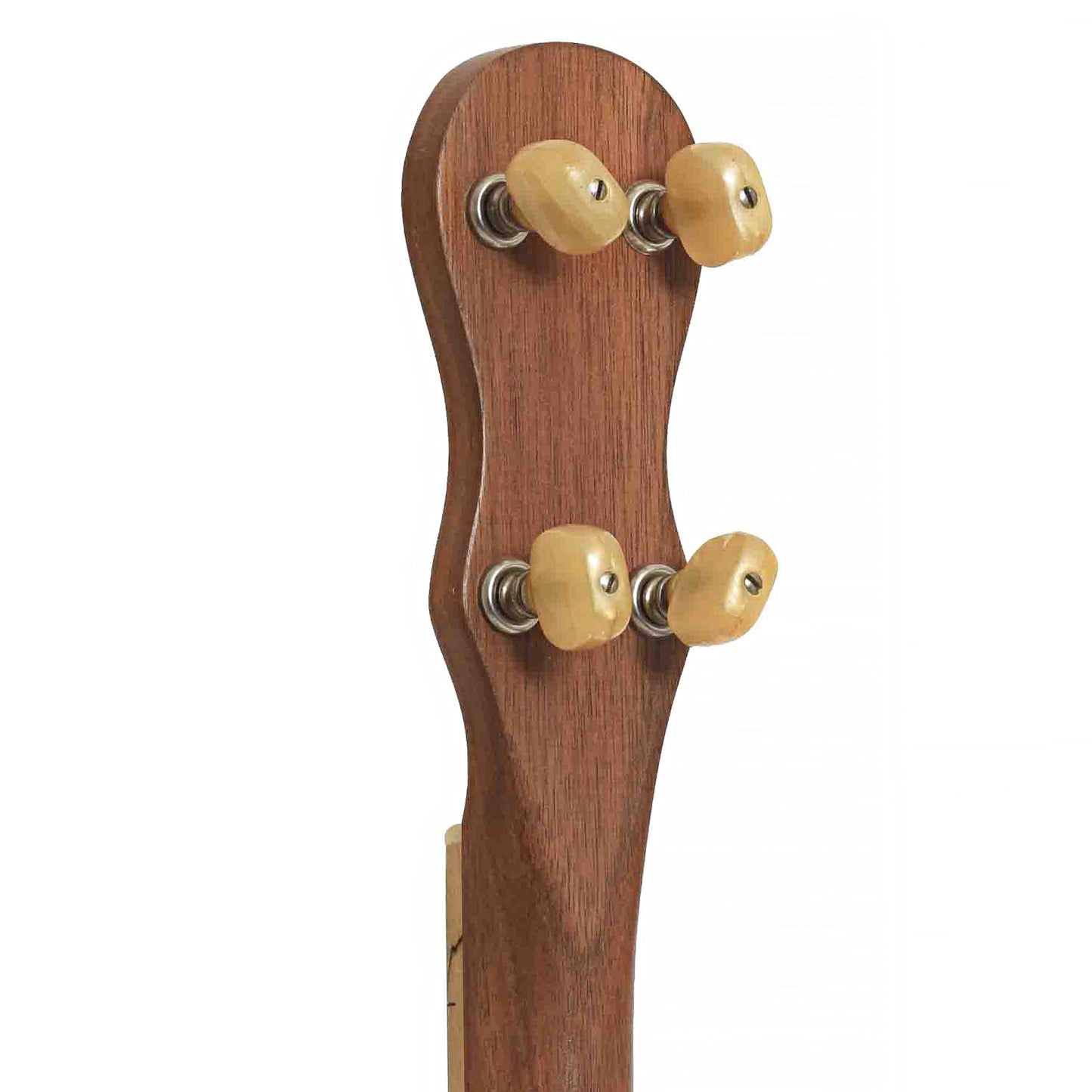 Tuners of Blue Star Mountain Banjo