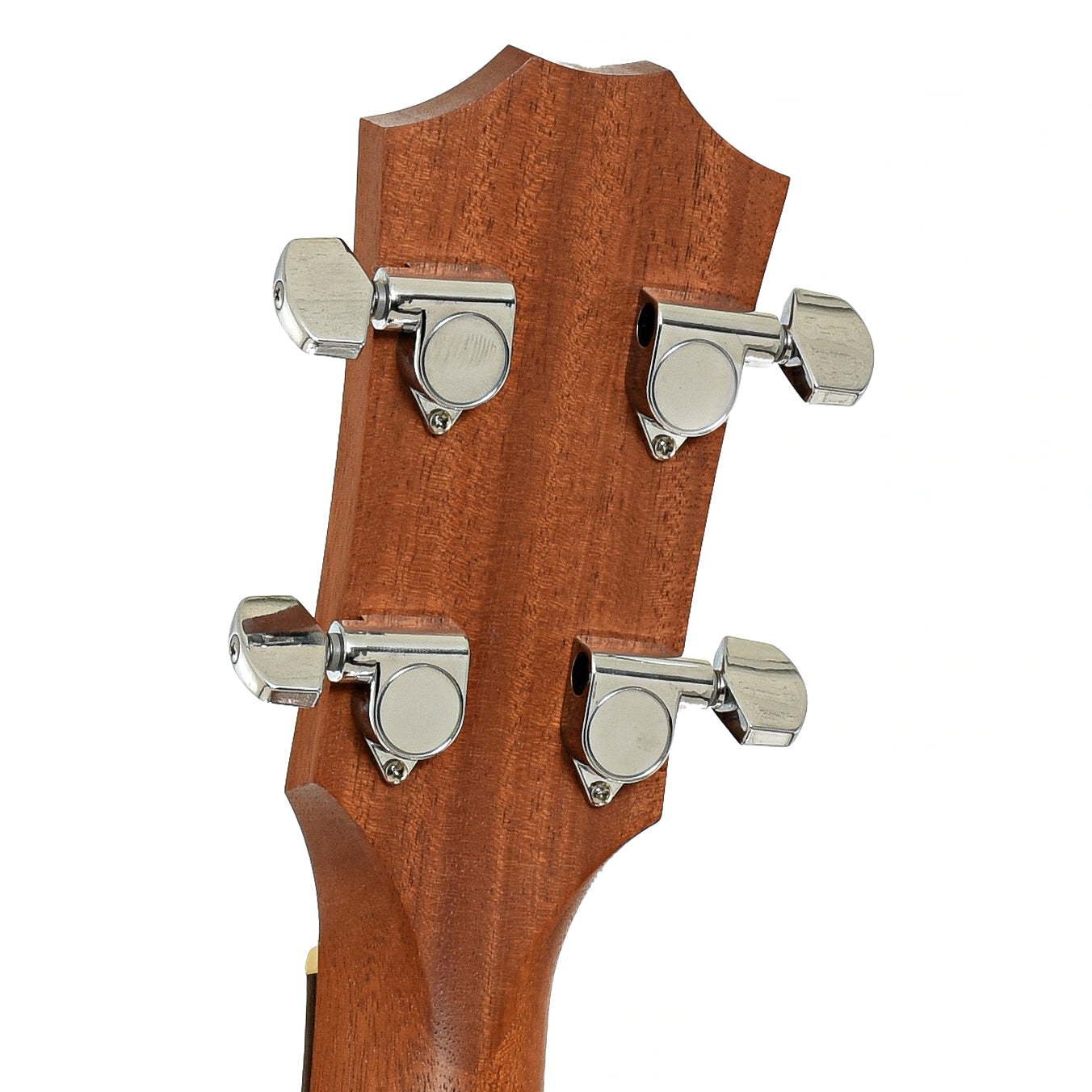 Tuners of Taylor GS Mini Acoustic-Electric Bass