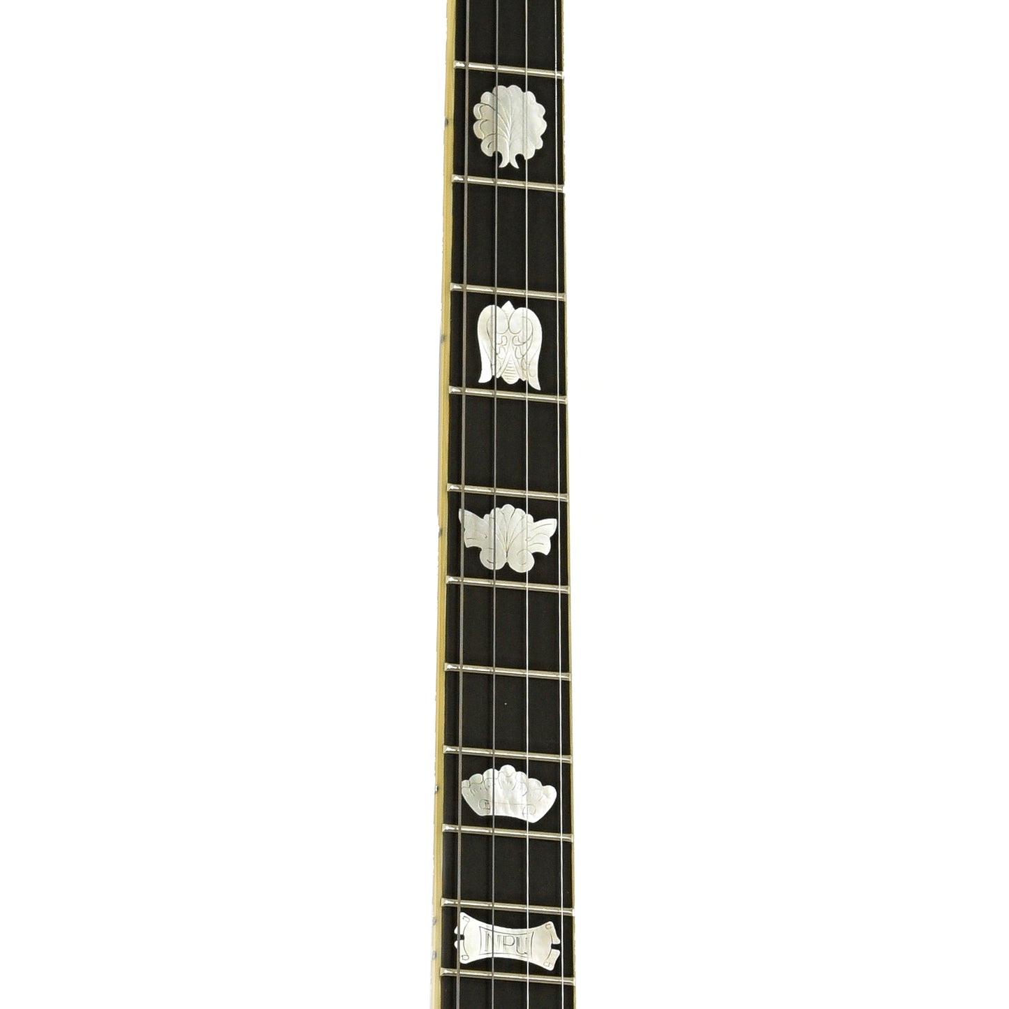 Fretboard of Richelieu Ne Plus Ultra 4261-GB Tenor Banjo 