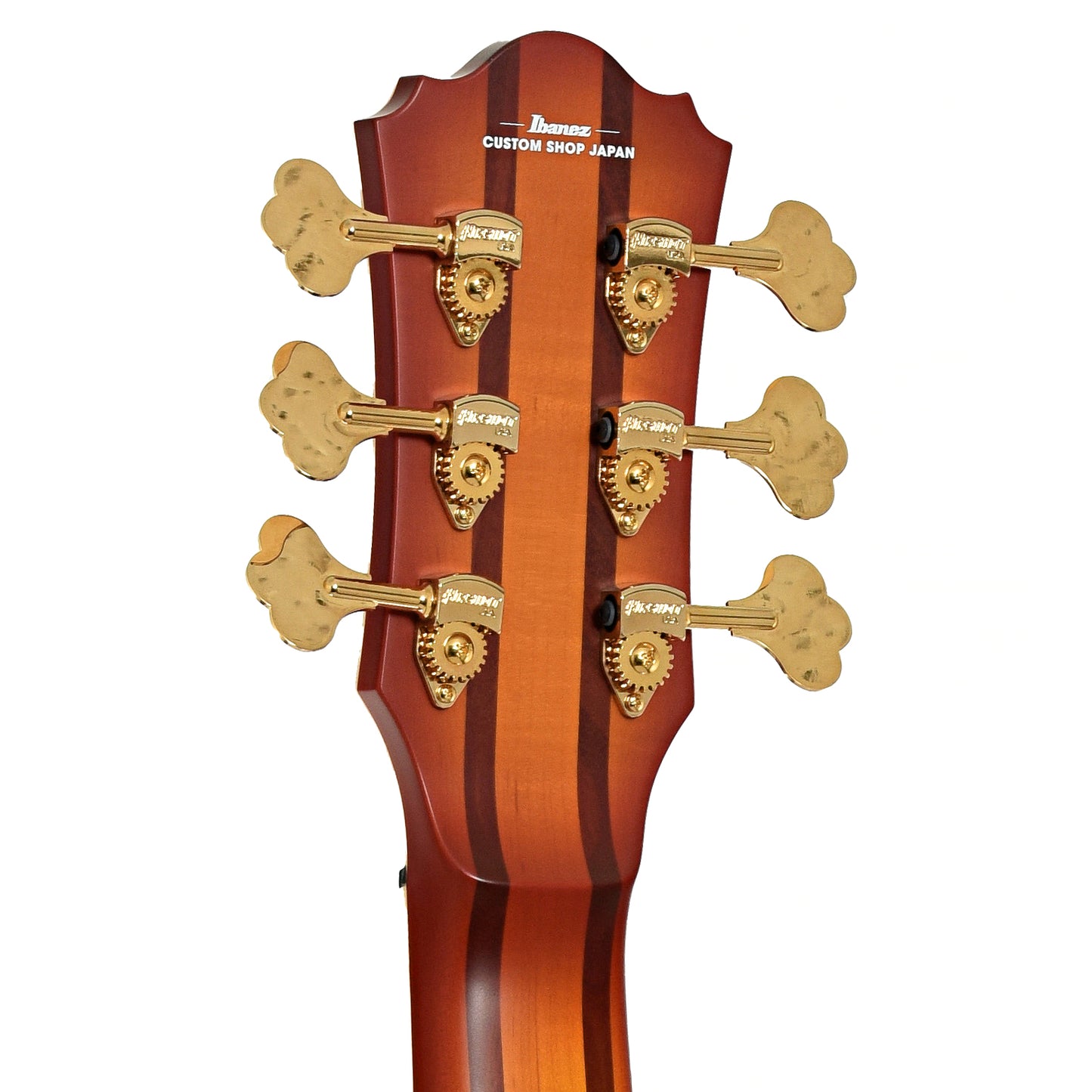 Tuners of Ibanez TCB1006 Stephen "Thundercat" Bruner 6-String Hollowbody Electric Bass (2022)