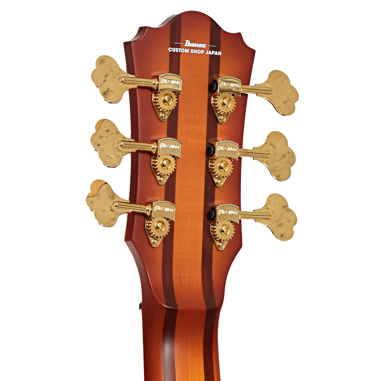 Tuners of Ibanez TCB1006 Stephen "Thundercat" Bruner 6-String Hollowbody Electric Bass (2022)