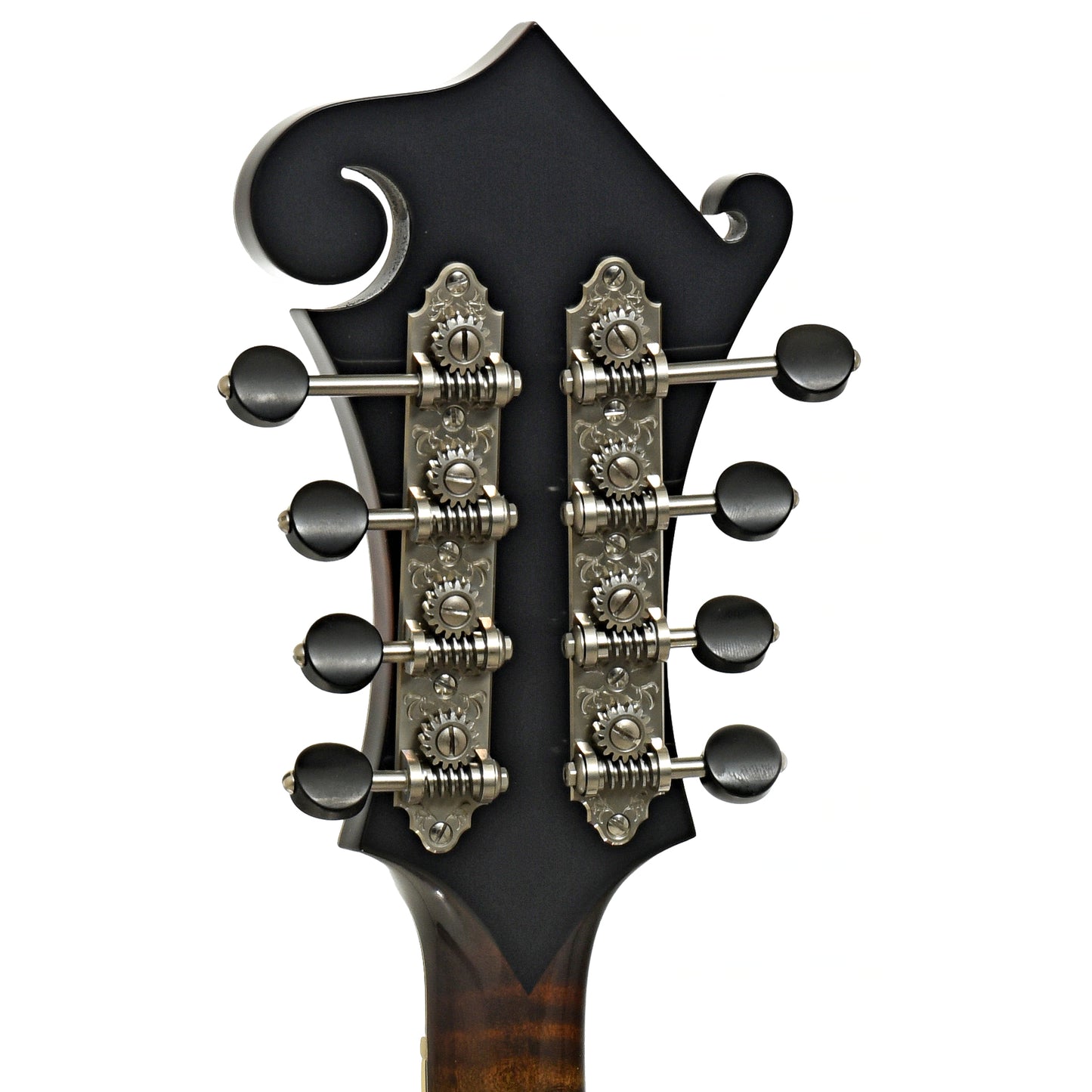 Tuners of Northfield NFB-F5Altd Limited Edition Big Mon F-Style Mandolin 