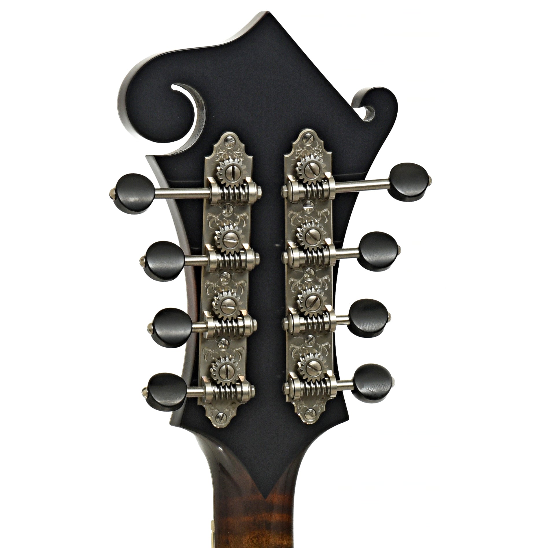 Tuners of Northfield NFB-F5Altd Limited Edition Big Mon F-Style Mandolin 