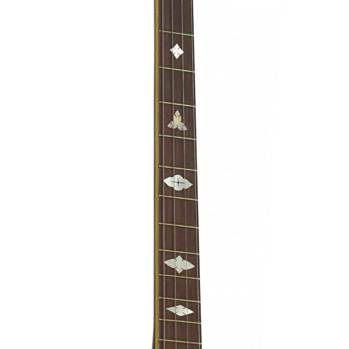 Fretboard of Gibson TB-2 Tenor Banjo