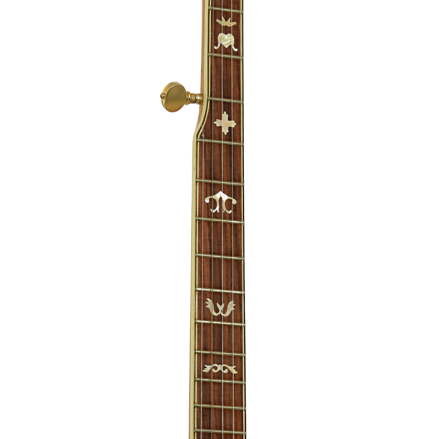 Fretboard of Kay Eagle Resonator Banjo