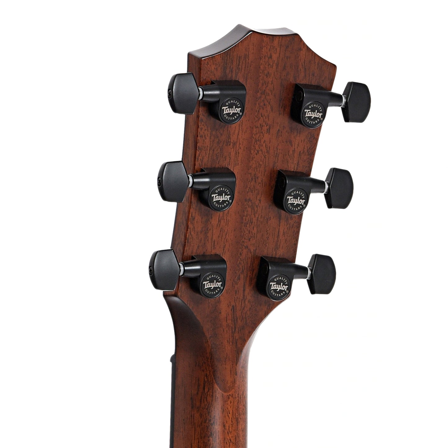 Back headstock of Taylor 326ce Acoustic-Electric Guitar