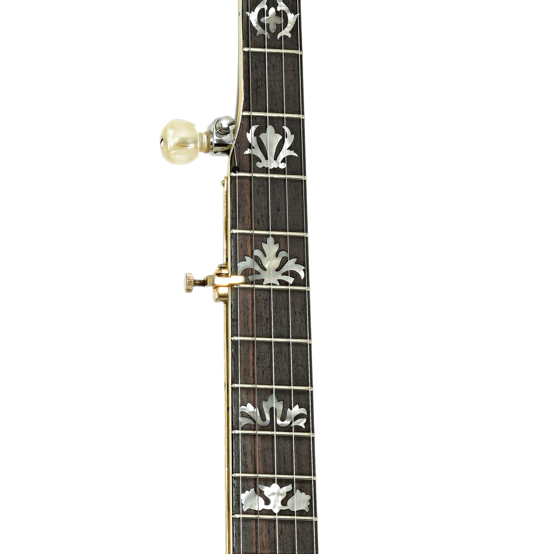 Fretboard of GTR 5-String Resonator Banjo