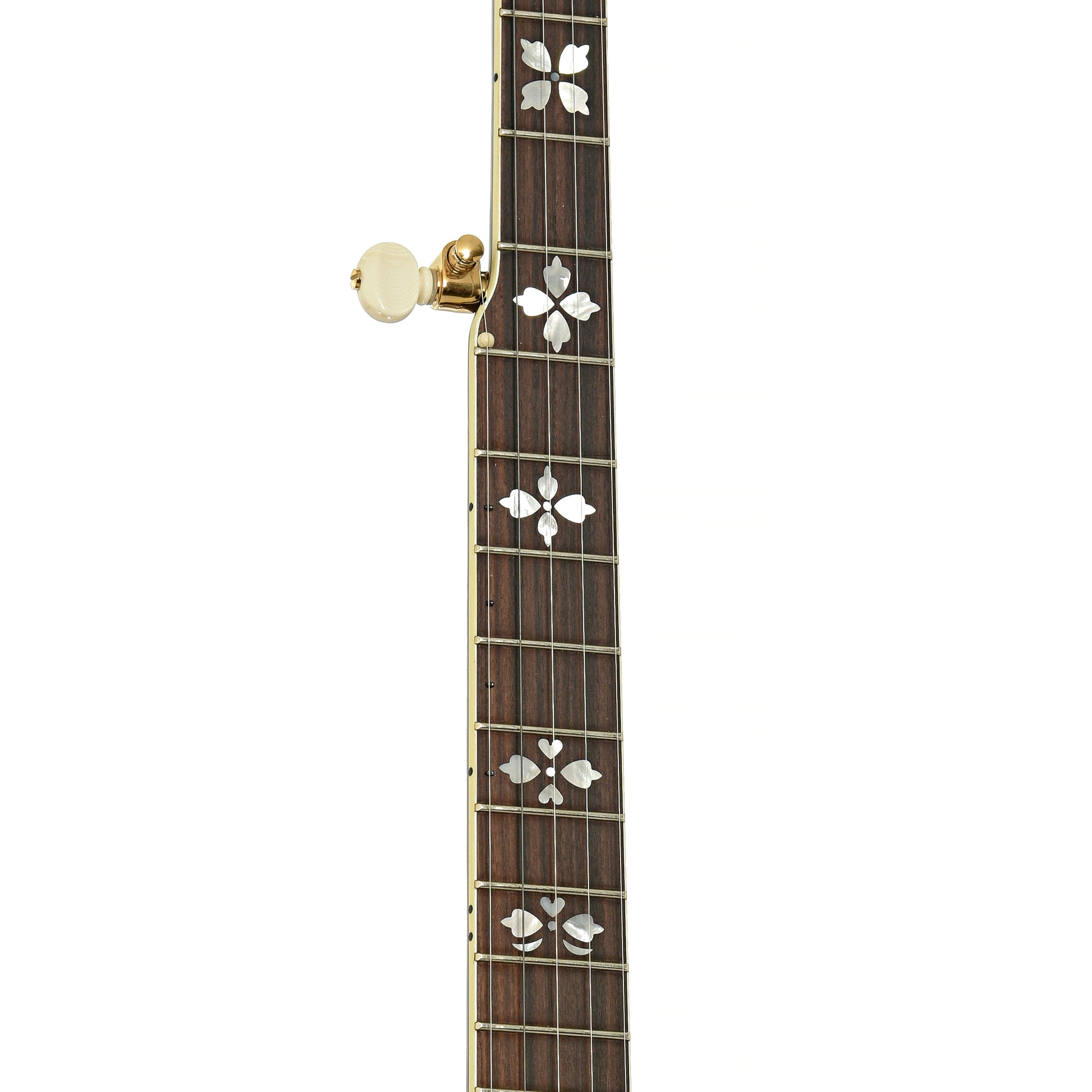 Fretboard of Huber VRB-G Trutone Resonator Banjo 