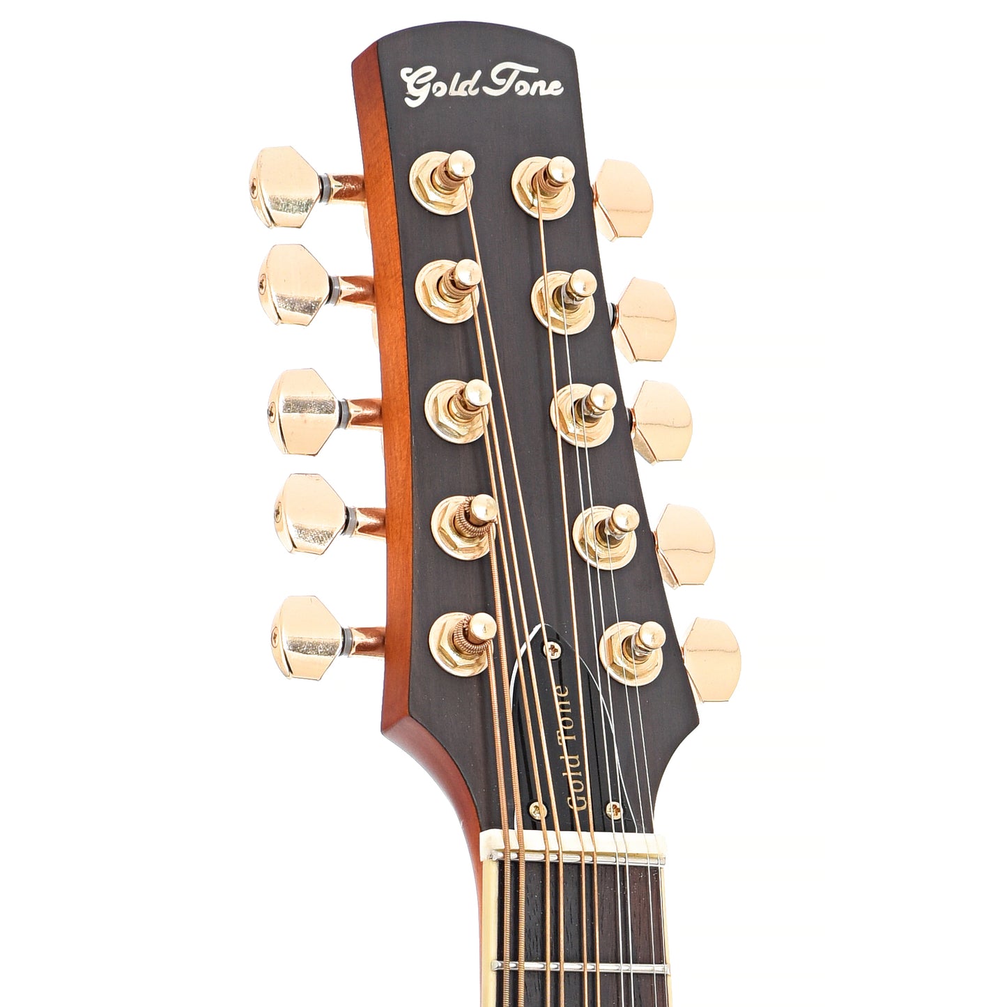 Front headstock of Gold Tone F-10 10-String Mandolin 