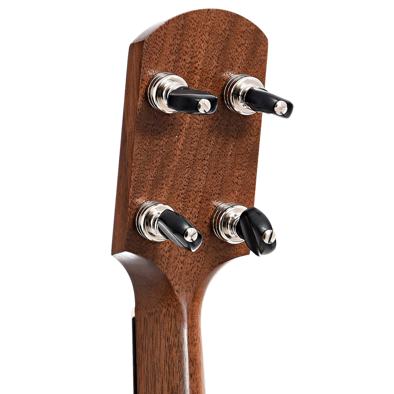 Back headstock of Kevin Enoch 11" Tradesman, Walnut Neck & Rim