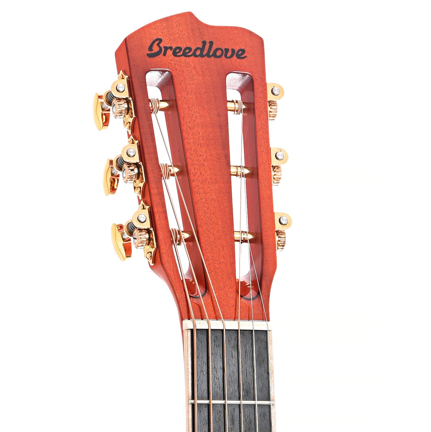 Front headstock of Breedlove Acoustic Concertina M1. Blues Orange (2023)