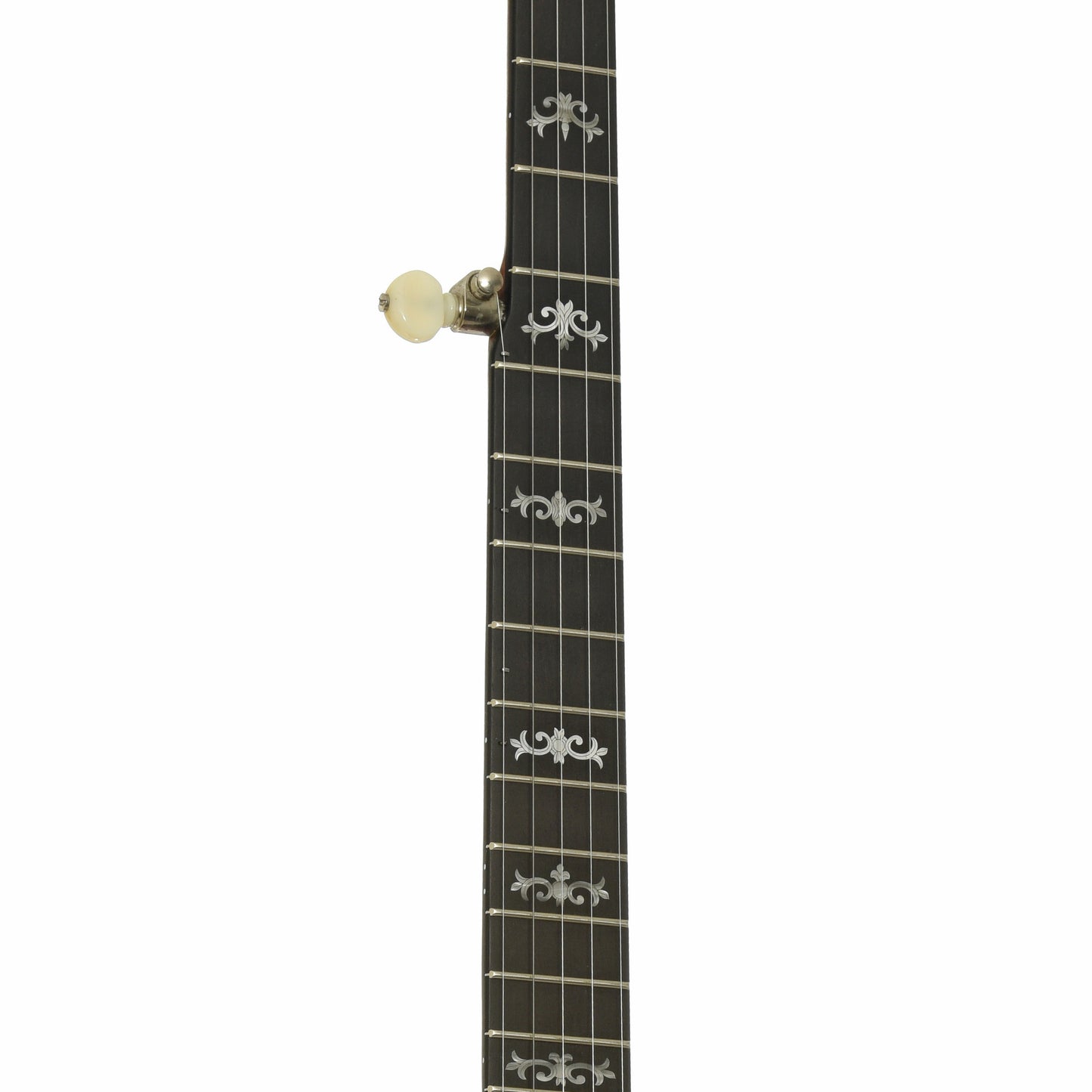 Fretboard of Deering Sierra Resonator Banjo.