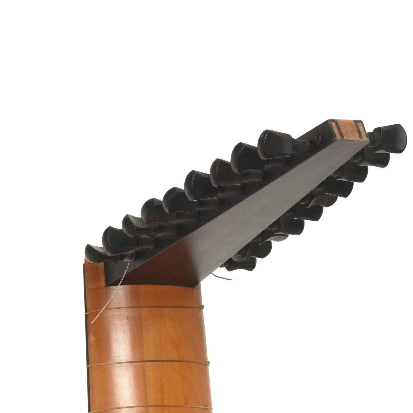 Tuners of James P. North 20-String Lute 
