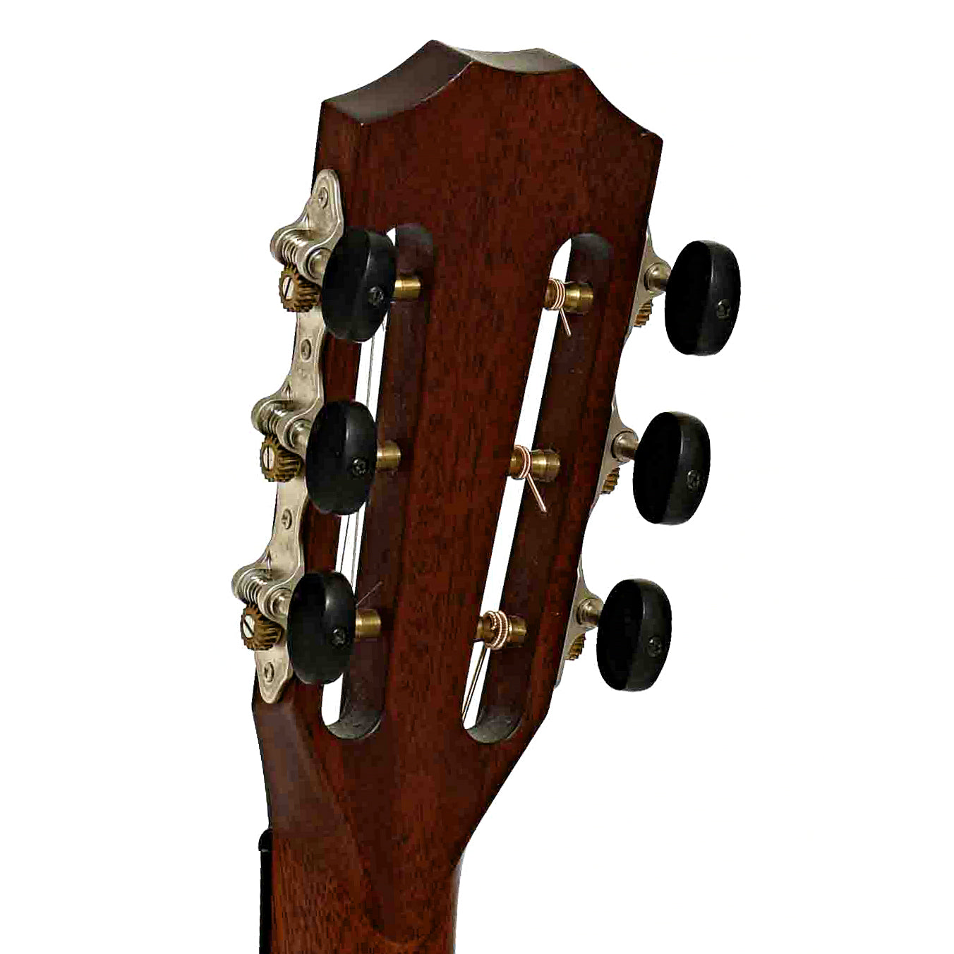 Tuners of Taylor 312CE 12-Fret Acoustic-Electric Guitar 