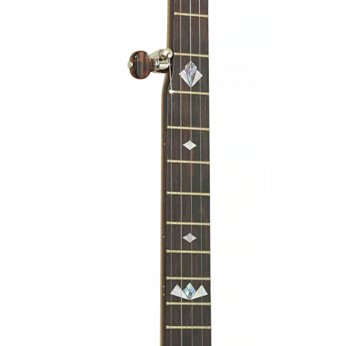 Fretboard of Ome Vintage Ikon Resonator Banjo & Case