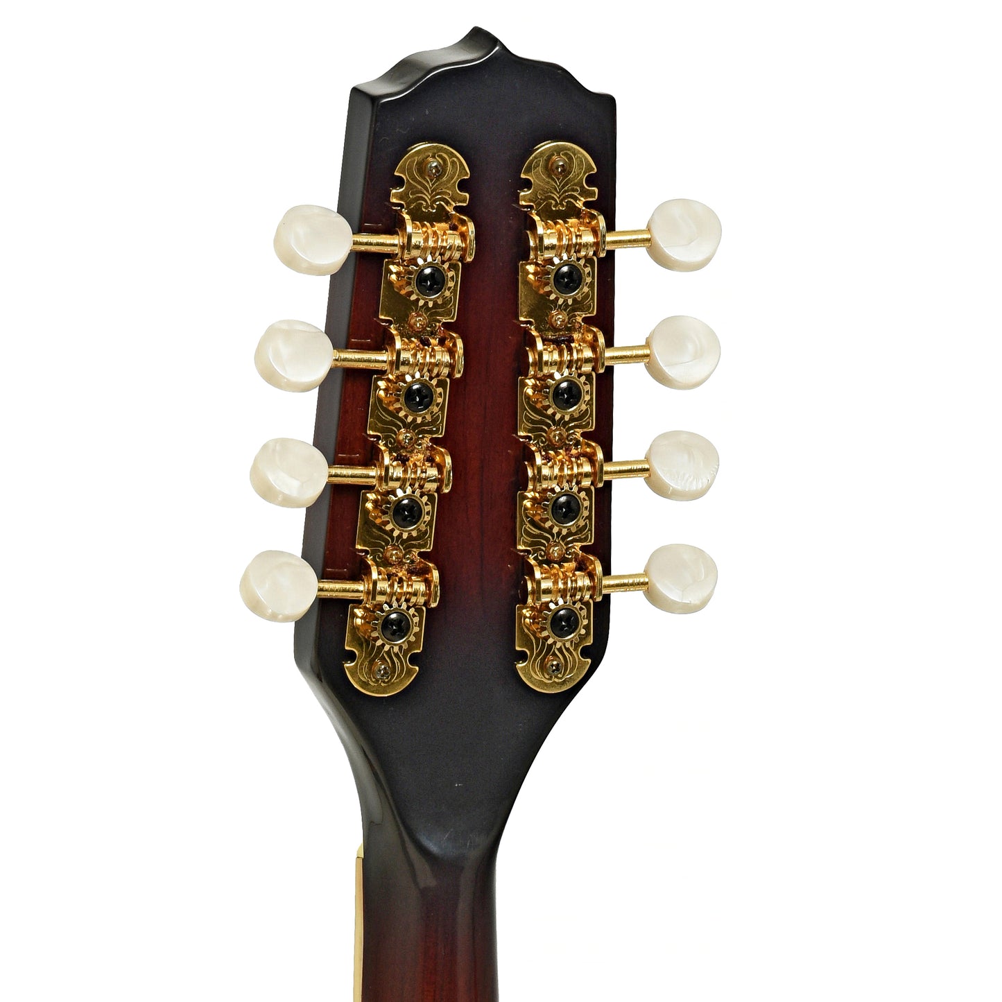 Tuners of Fender FM-53S A-Style Mandolin